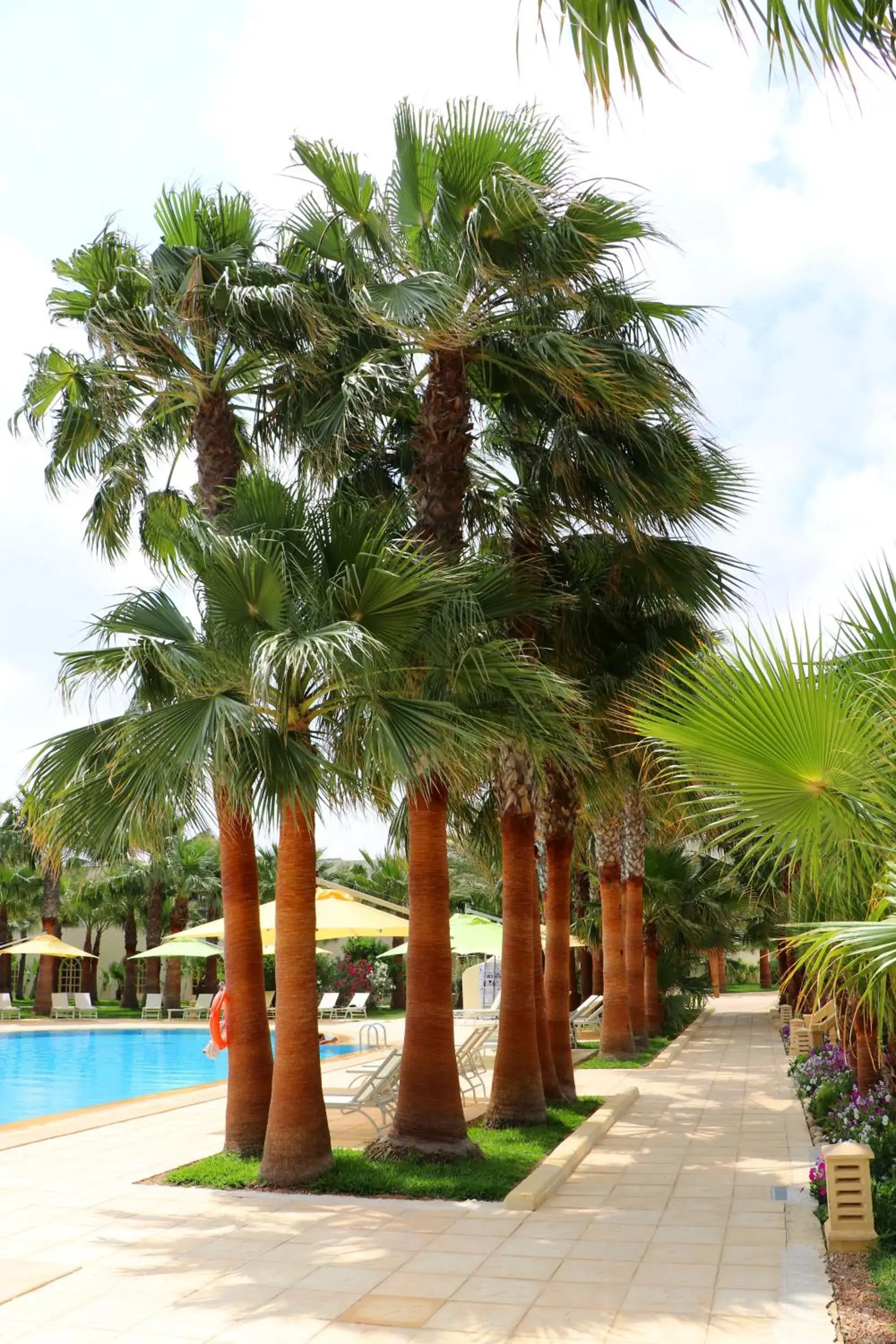 Property building in The Ksar Djerba Charming Hotel & SPA Property building in The Ksar Djerba Charming Hotel & SPA