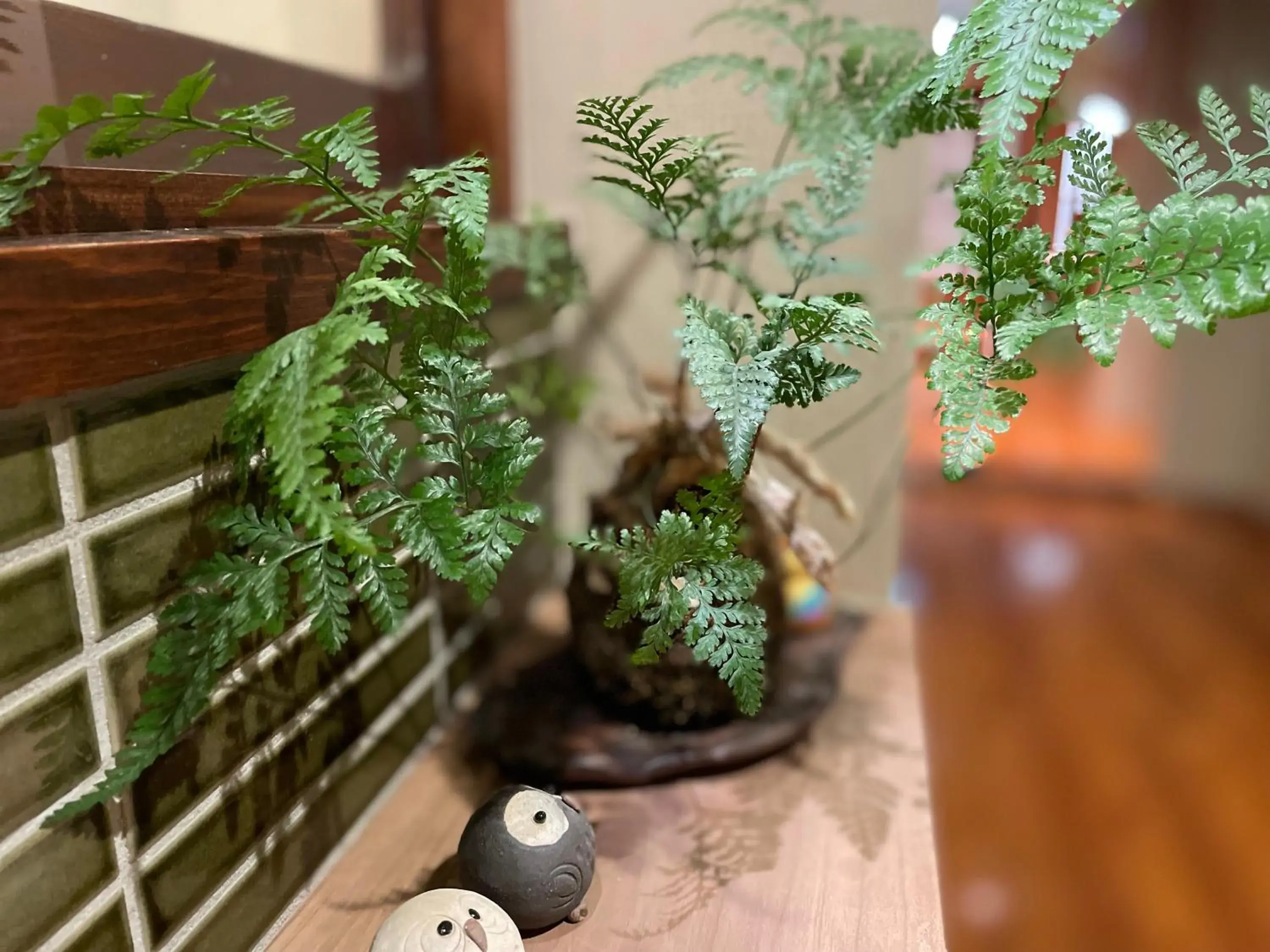 Lobby or reception in Hotel Fukudaya Lobby or reception in Hotel Fukudaya