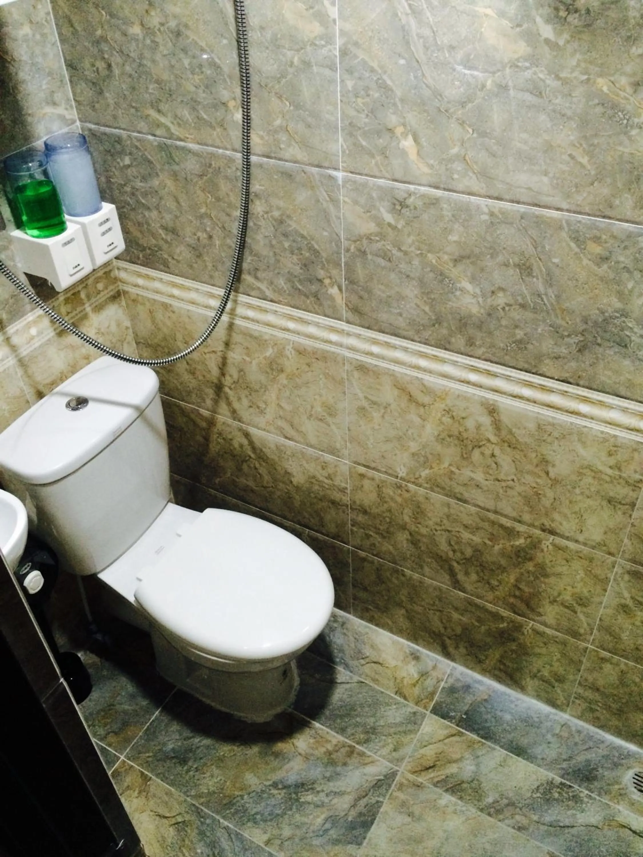 Shower in Victoria Inn