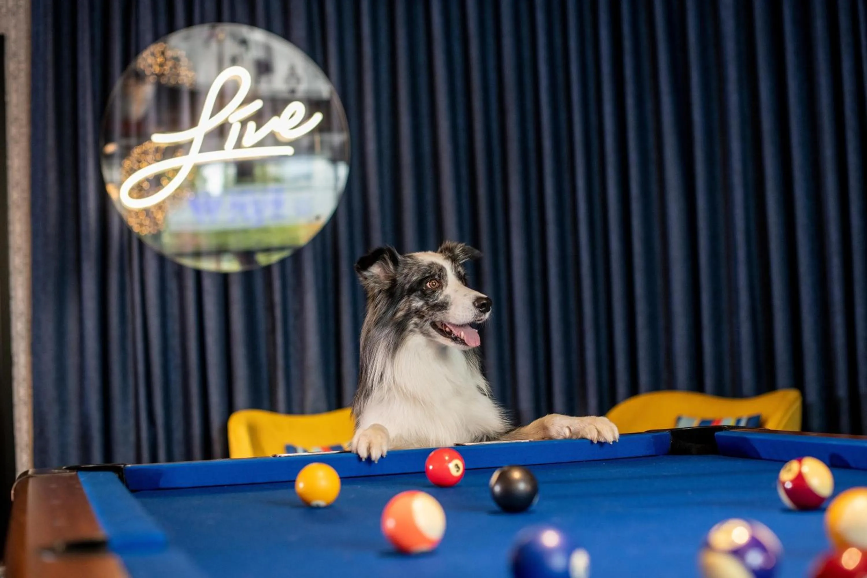 Billiard in Aloft Brussels Schuman