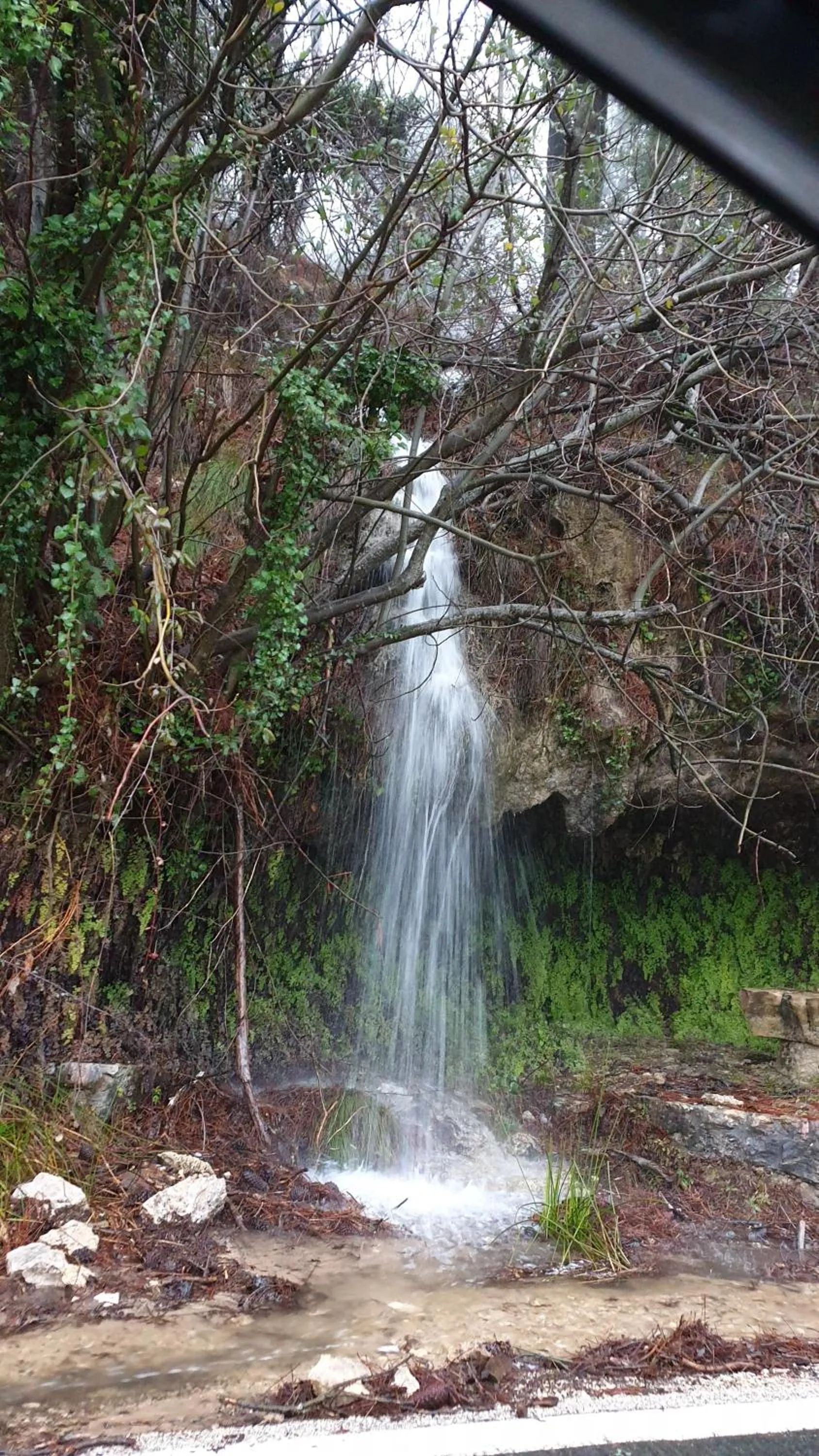 Natural landscape in Apartamentos Valle del Guadalquivir