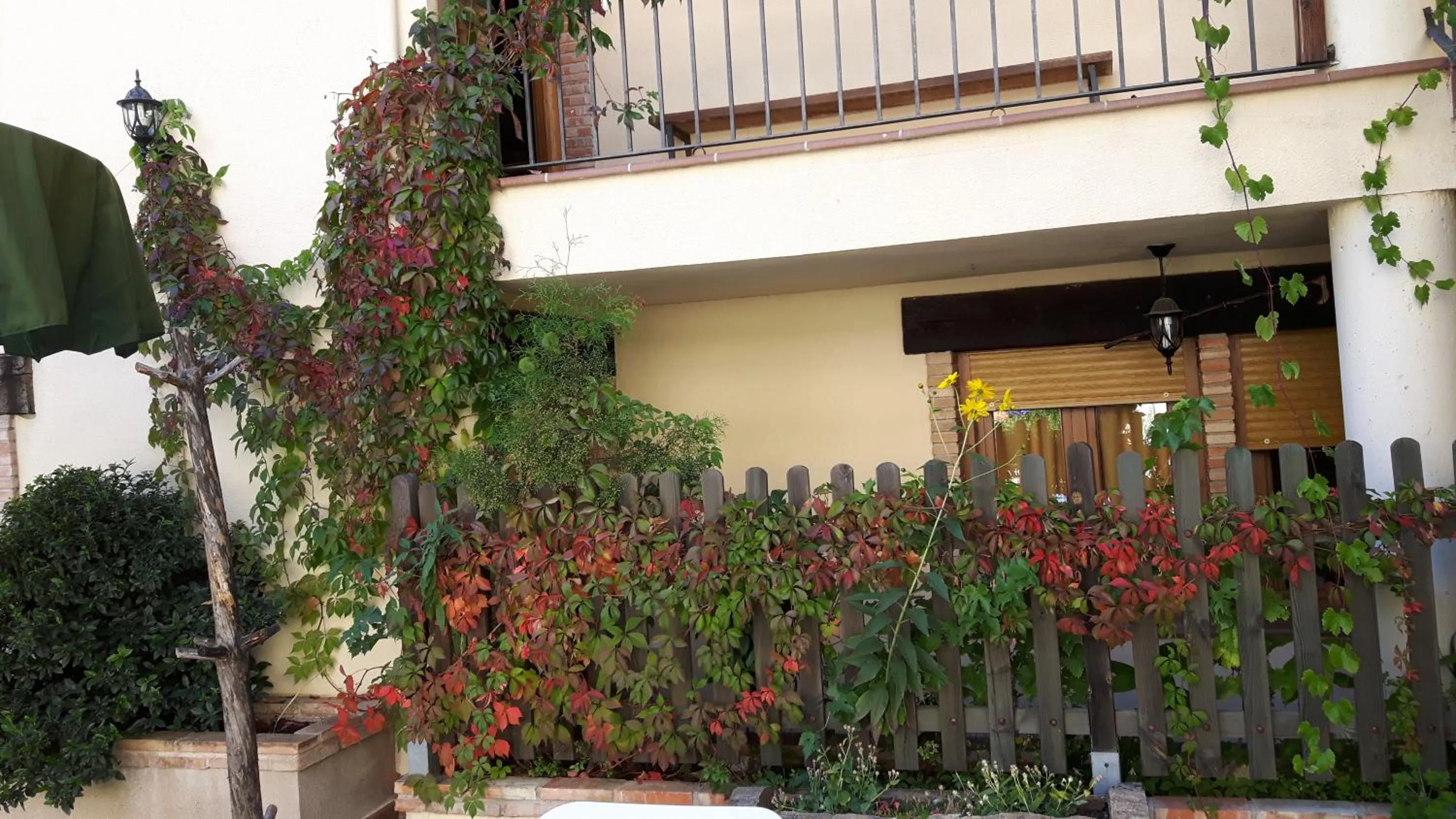 Garden view in Apartamentos Valle del Guadalquivir