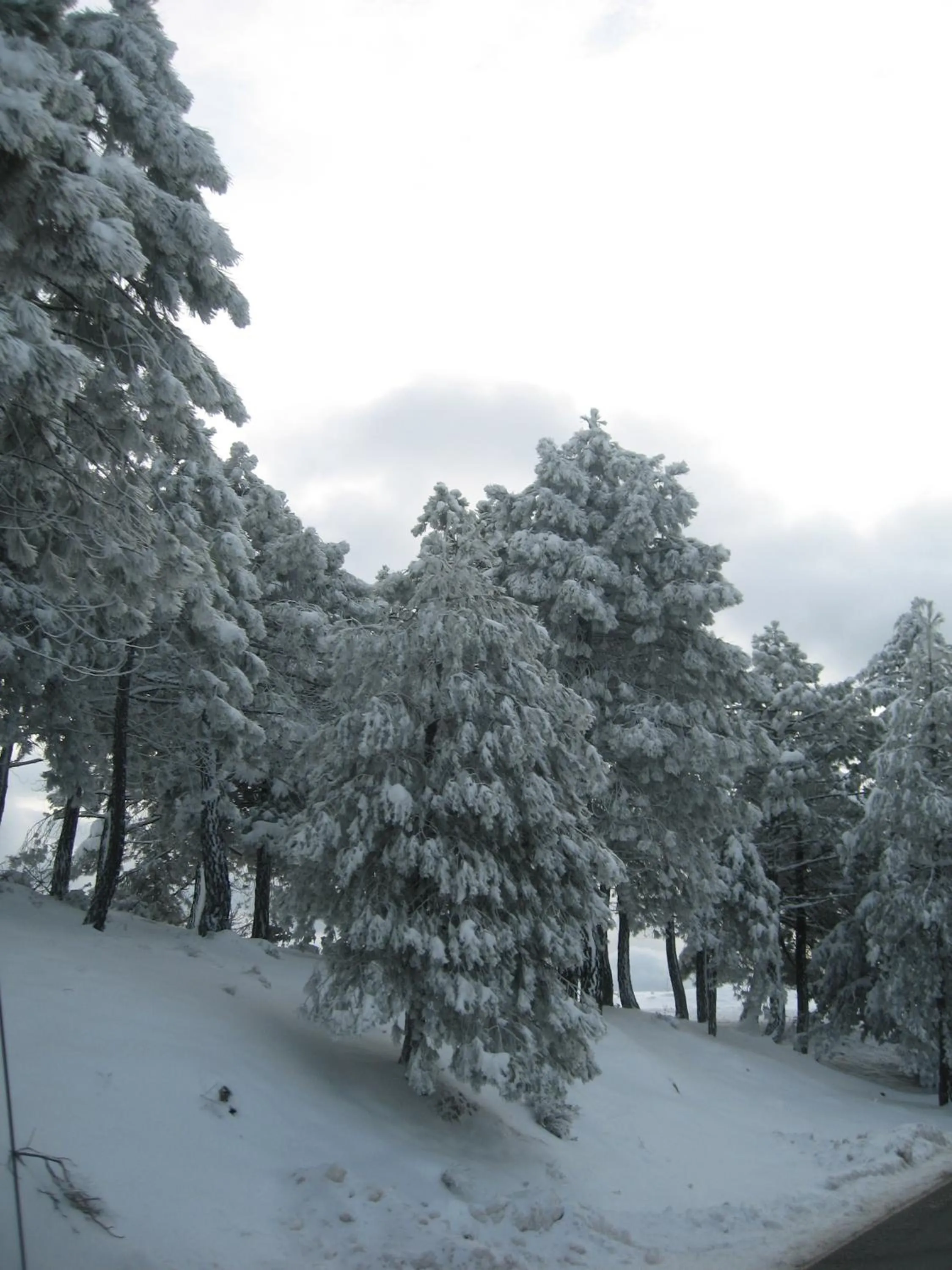 Natural landscape in Apartamentos Valle del Guadalquivir