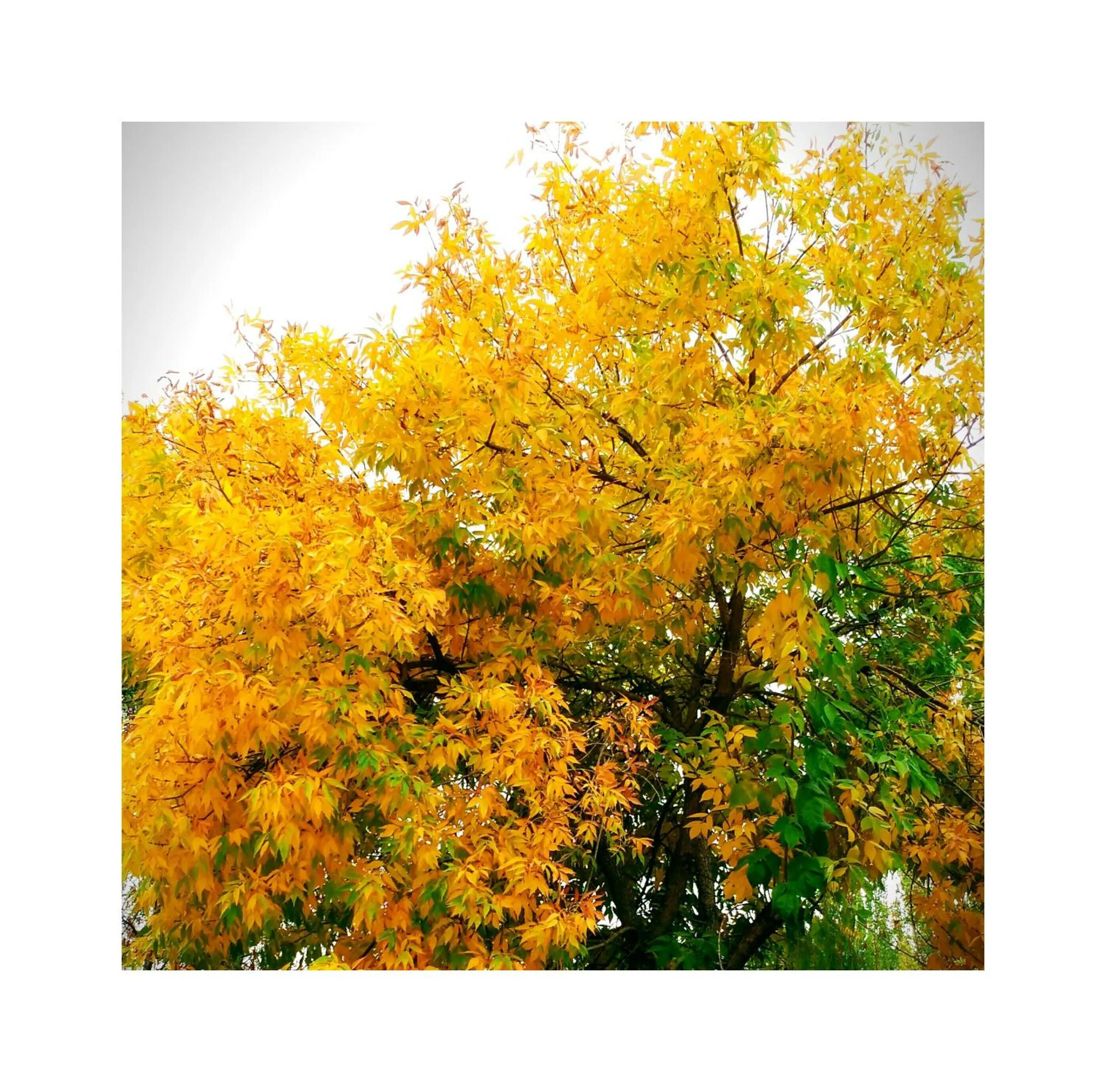 Other in Apartamentos Valle del Guadalquivir