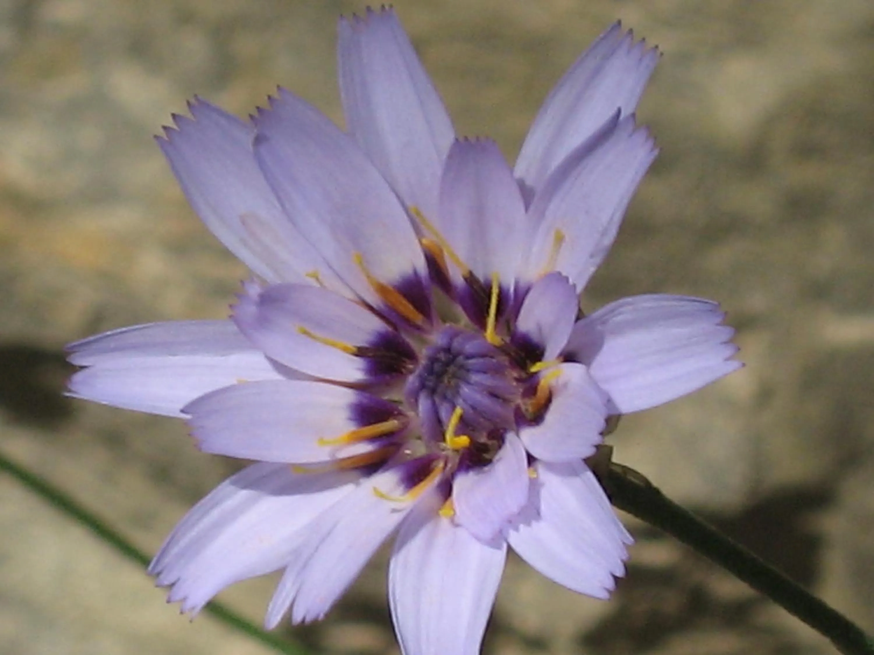 Spring in Apartamentos Valle del Guadalquivir