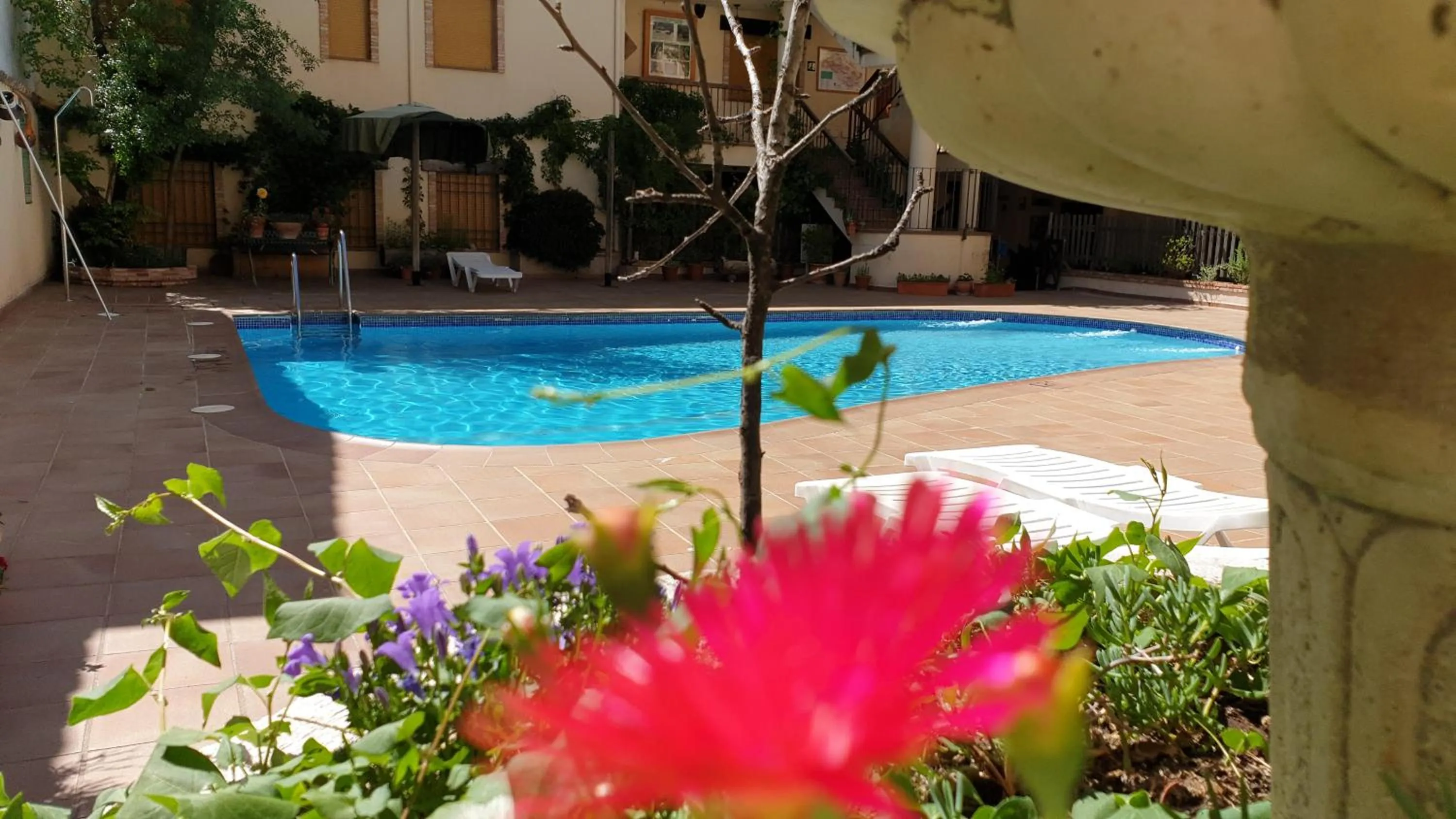 Swimming pool in Apartamentos Valle del Guadalquivir