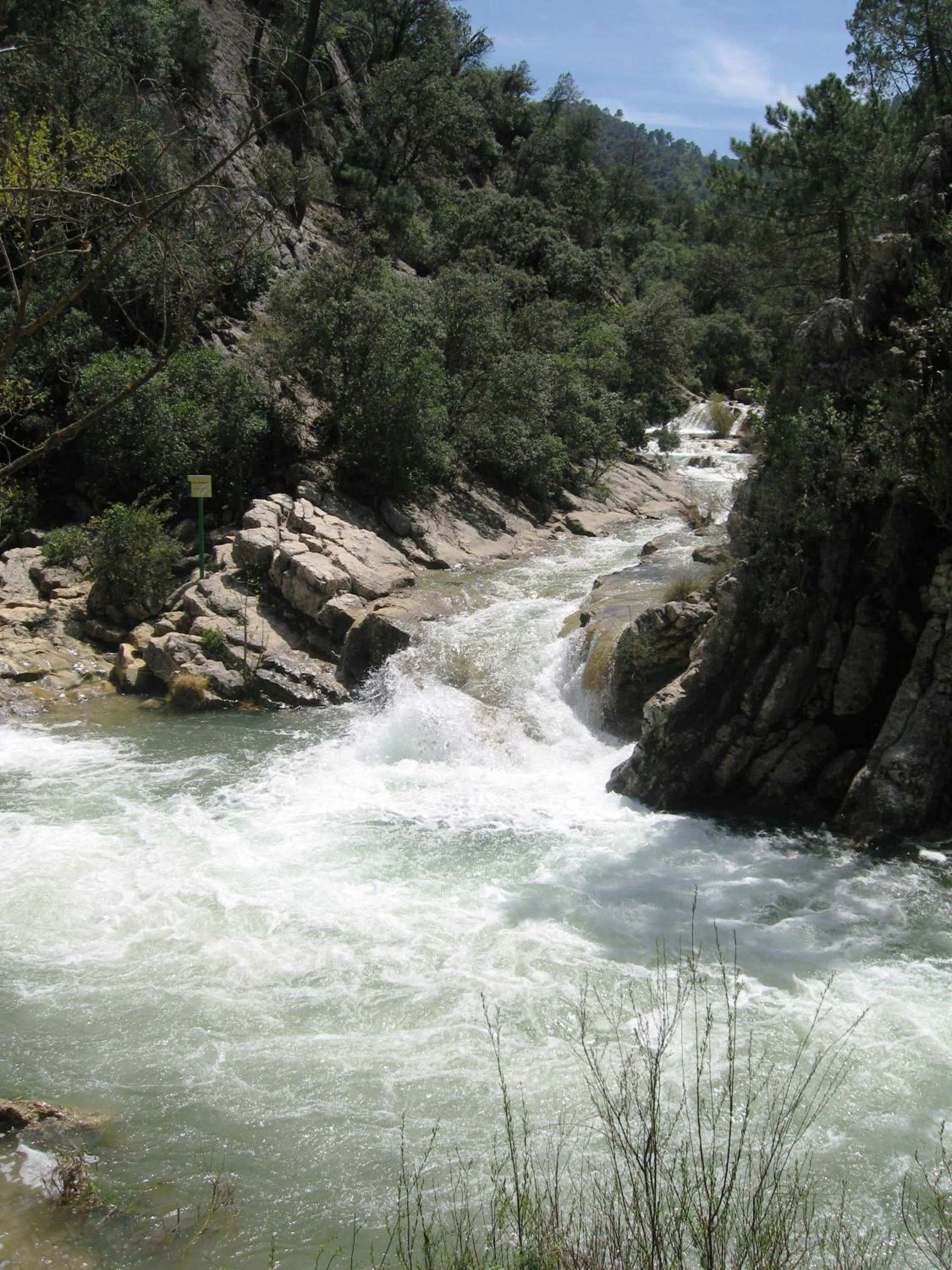 Day in Apartamentos Valle del Guadalquivir