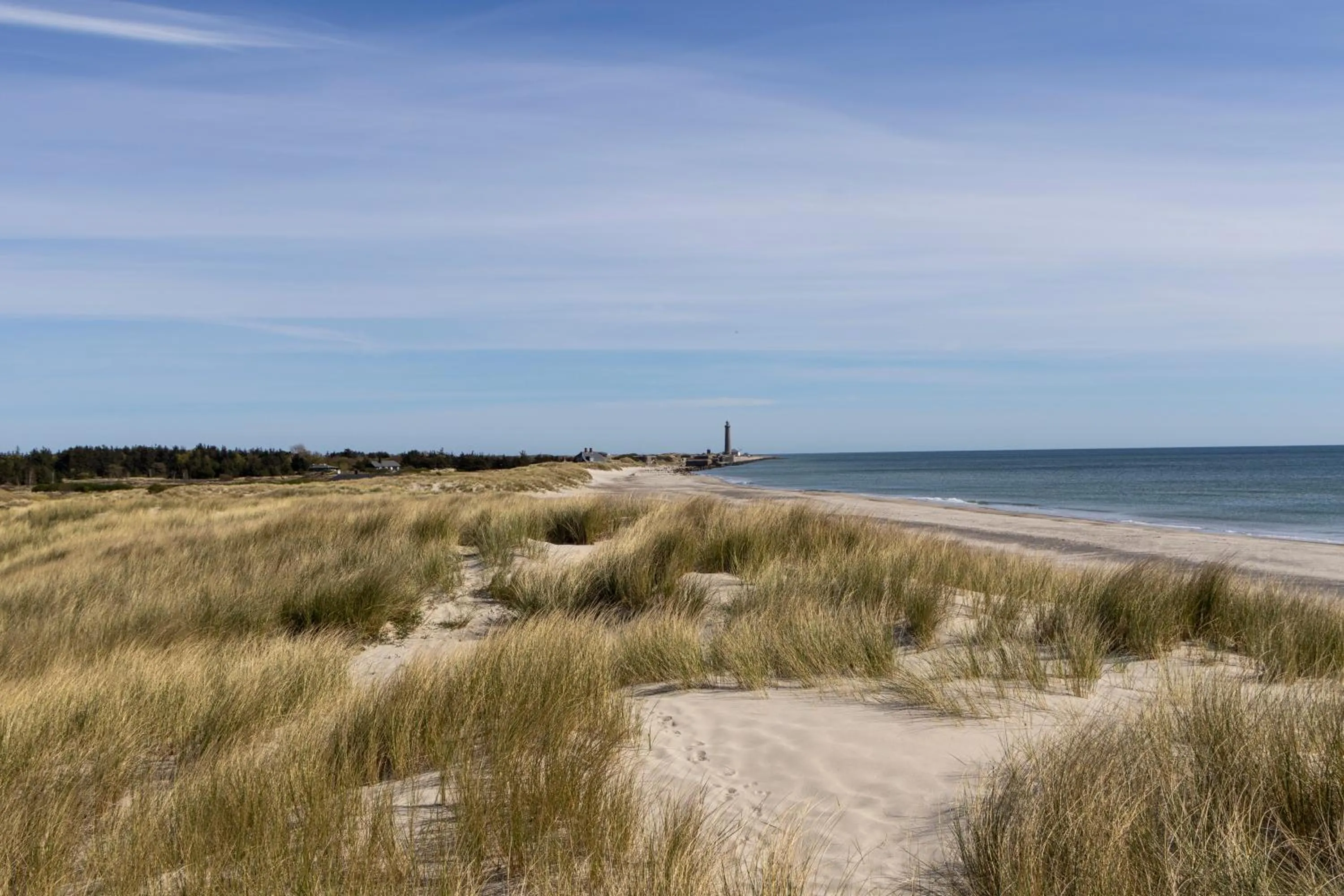 Beach in Plesners Badehotel