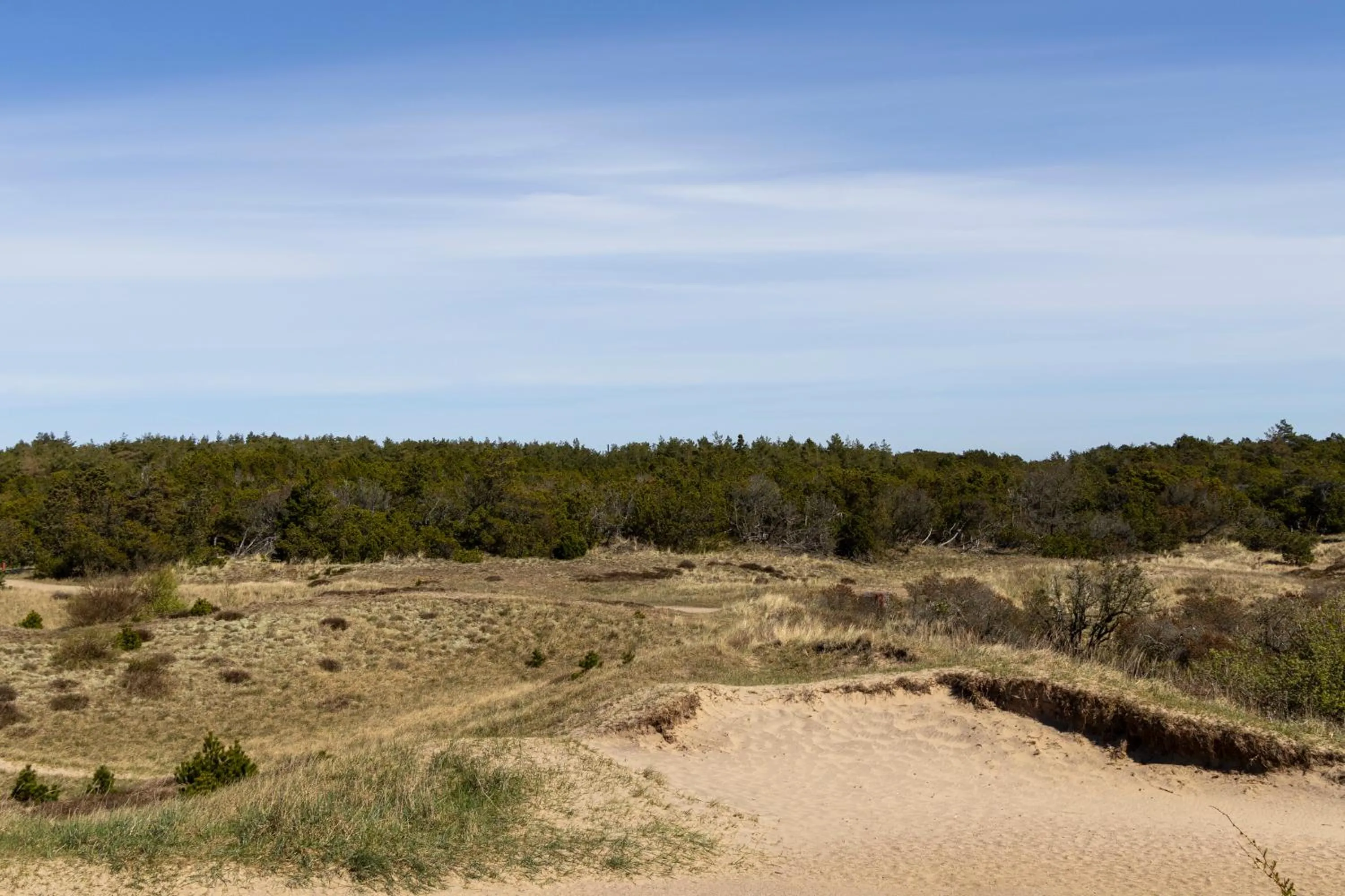 Natural landscape in Plesners Badehotel