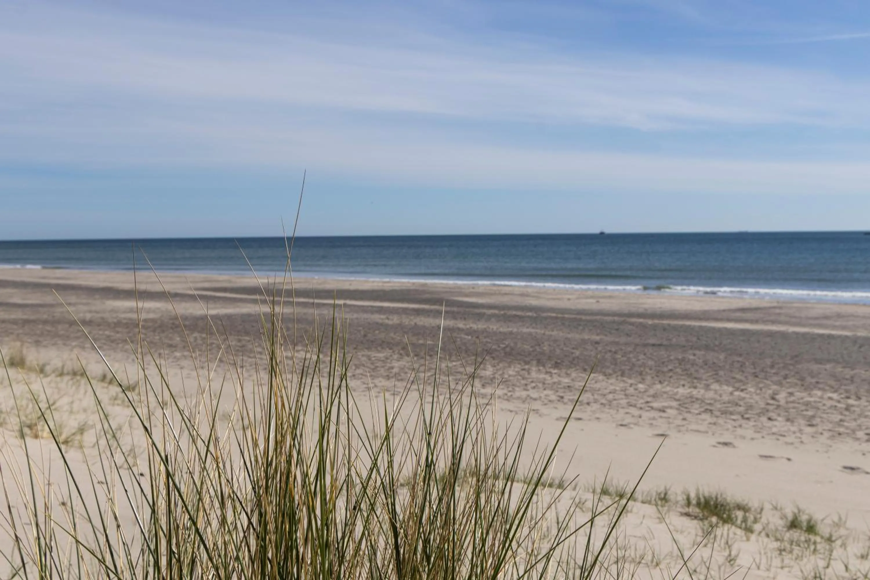 Beach in Plesners Badehotel