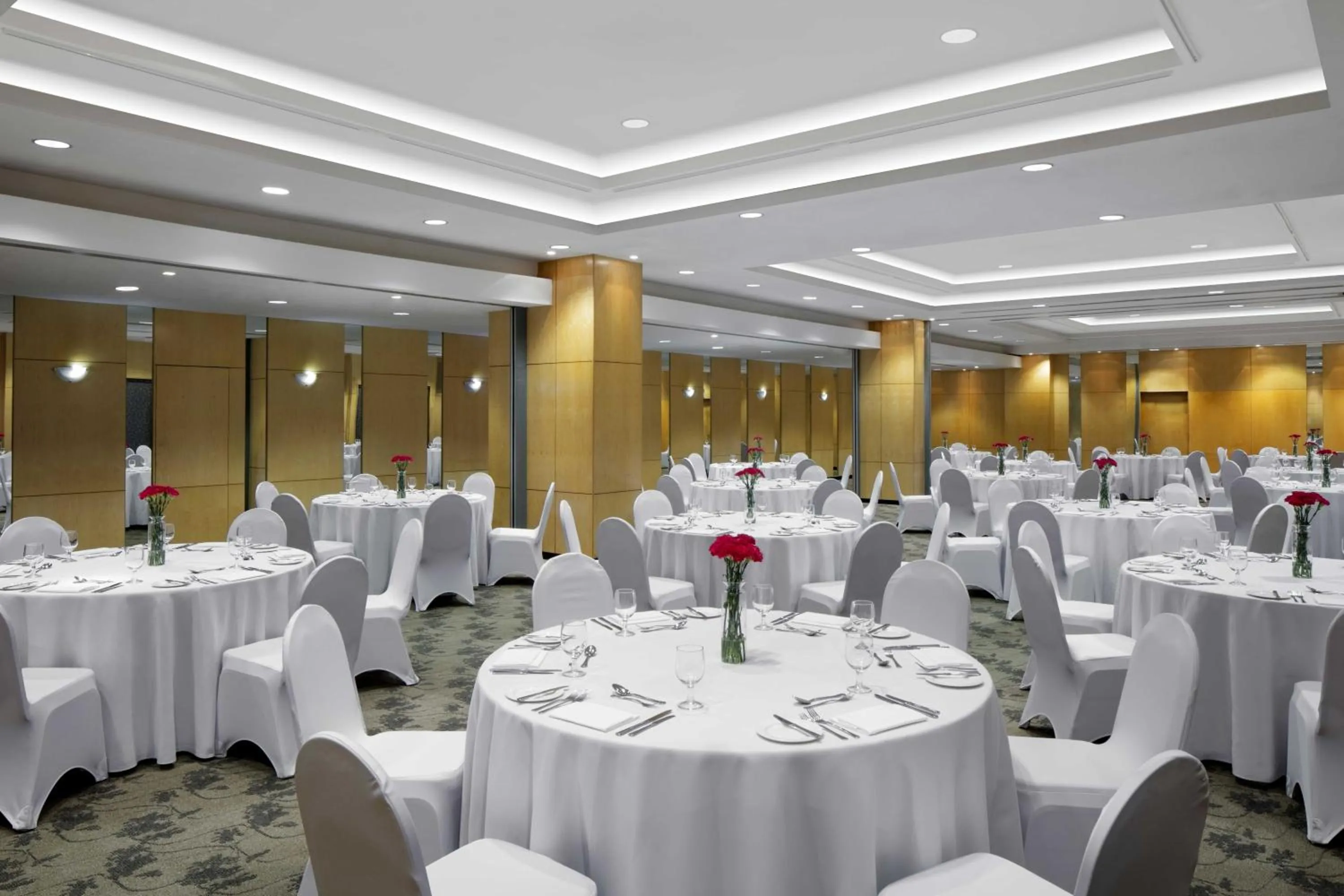 Banquet/Function facilities in Radisson Hotel Brunei Darussalam