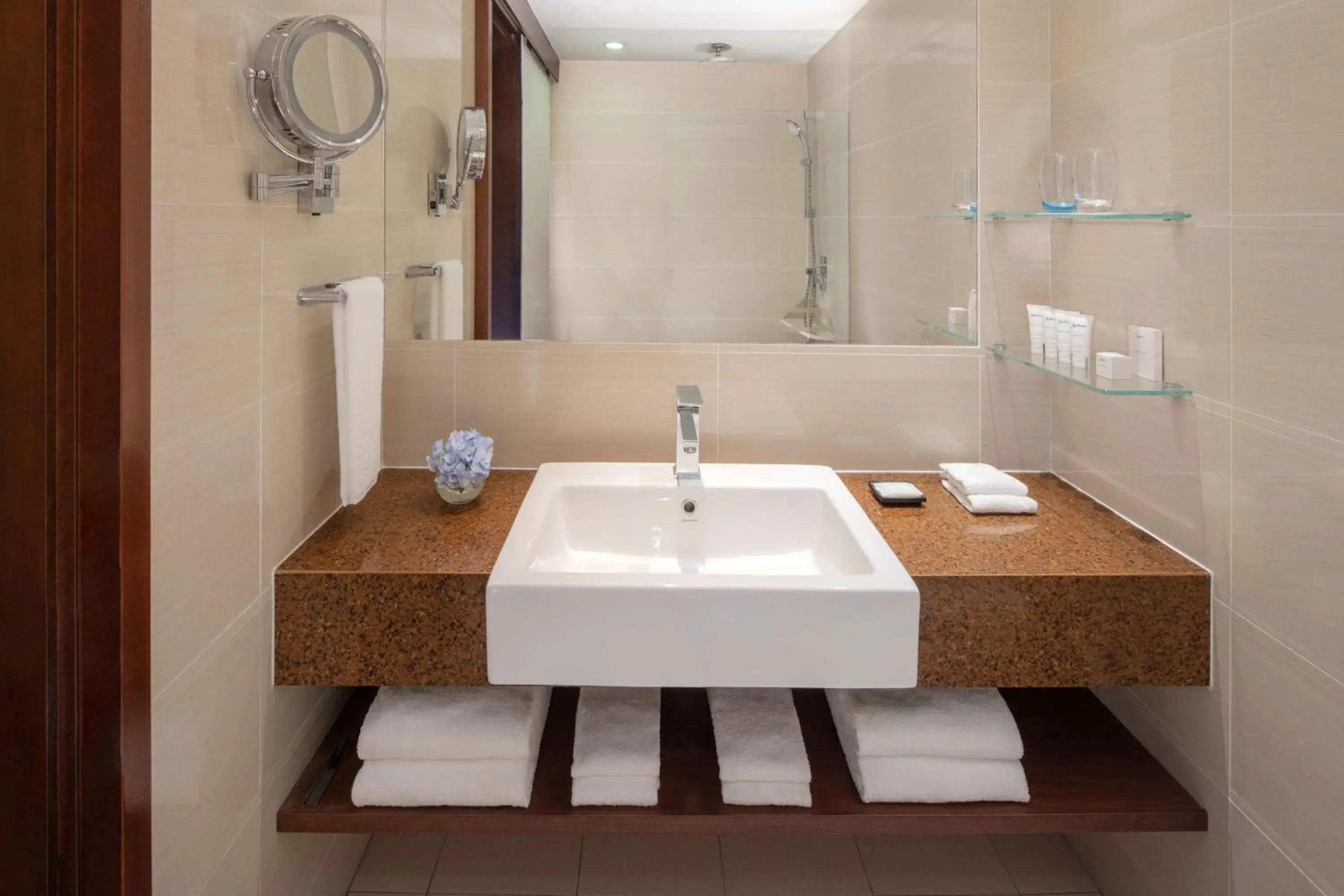 Bathroom in Radisson Hotel Brunei Darussalam Bathroom in Radisson Hotel Brunei Darussalam