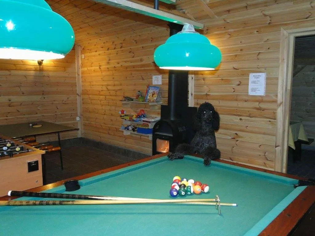 Billiard in Gosciniec Pod Brzegiem