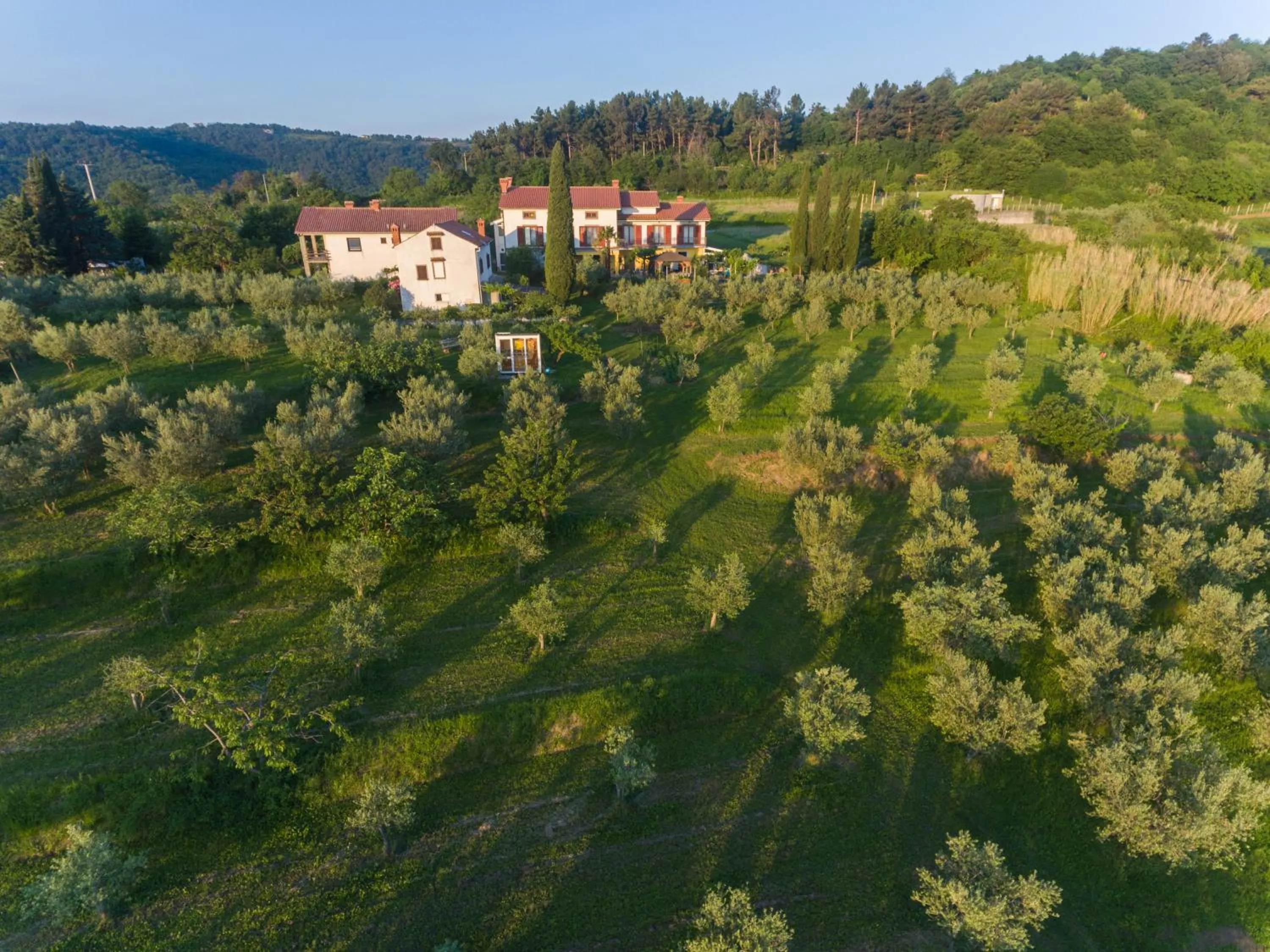 Natural landscape in Med oljkami Apartment