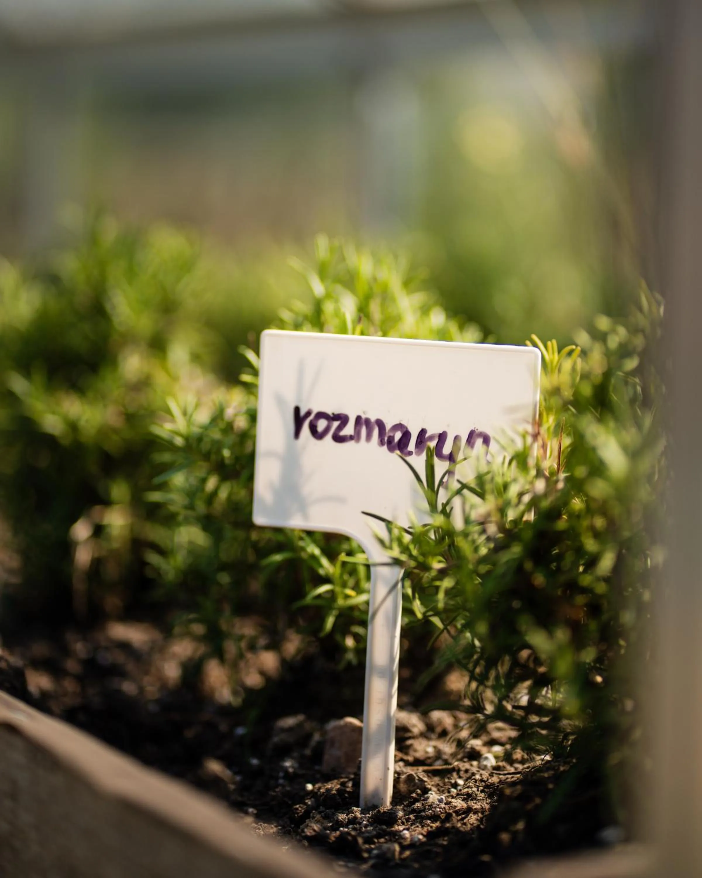 Garden in Dosłońce Resort Wellness & Farm