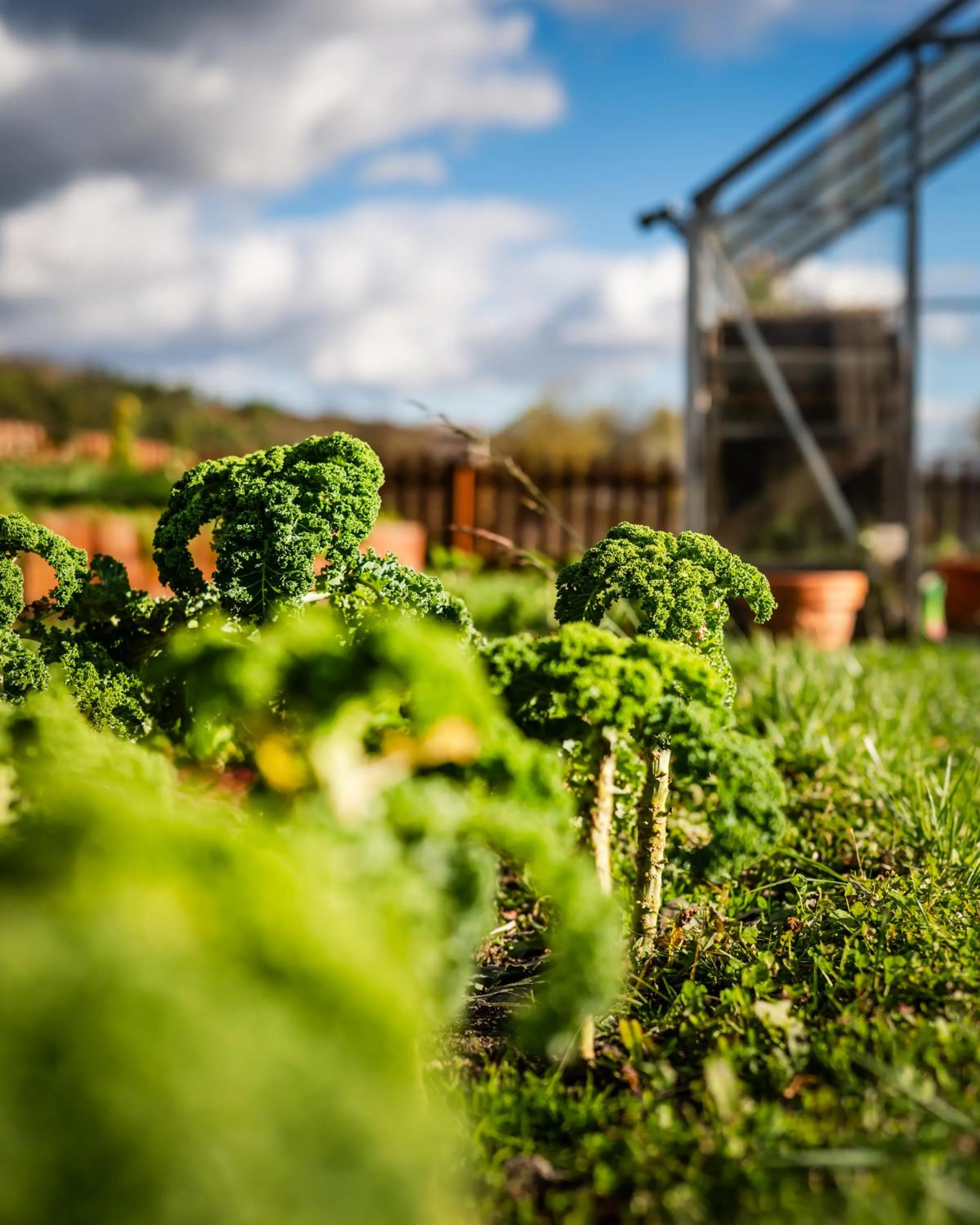 Garden in Dosłońce Resort Wellness & Farm