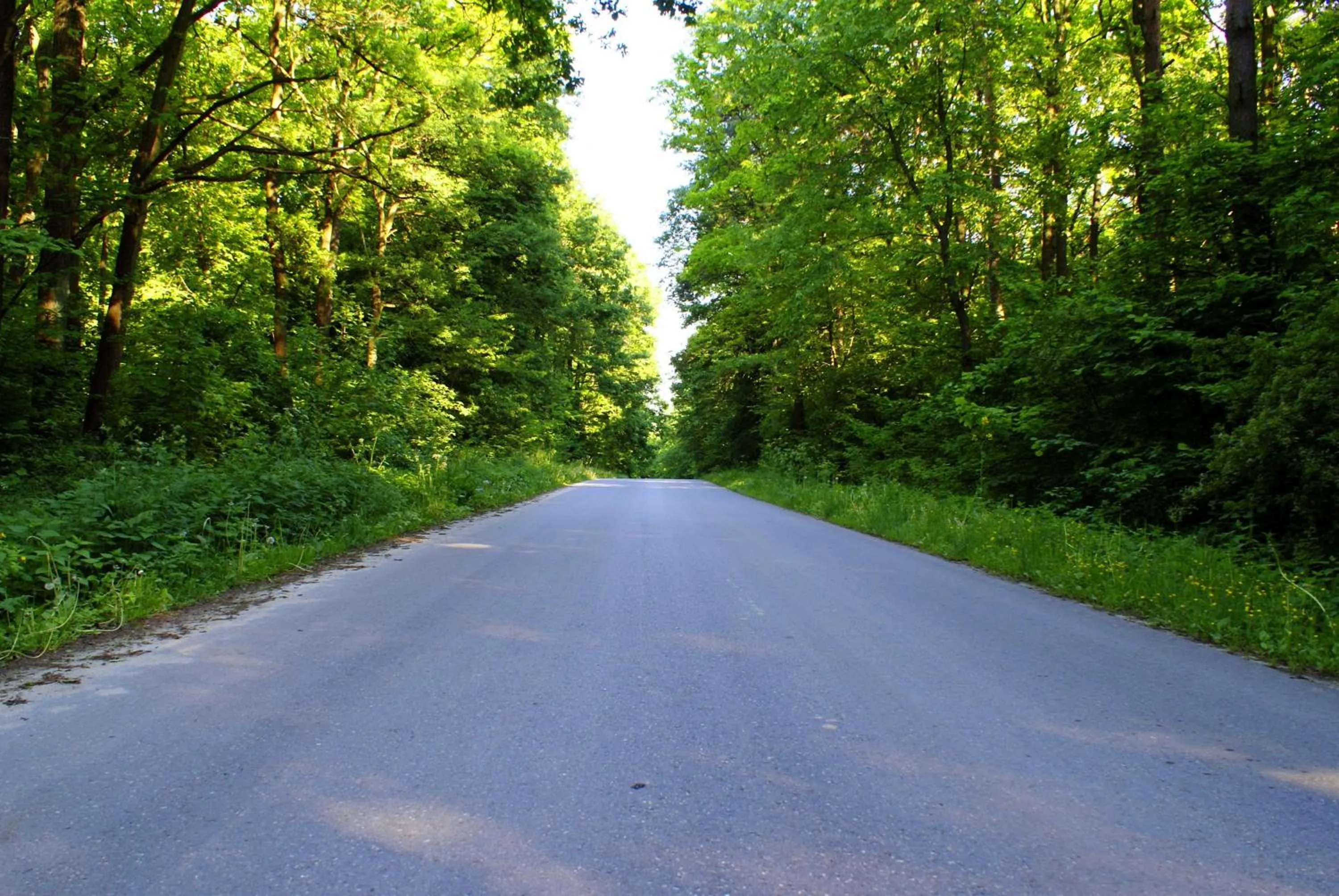 Dosłońce Resort Wellness & Farm