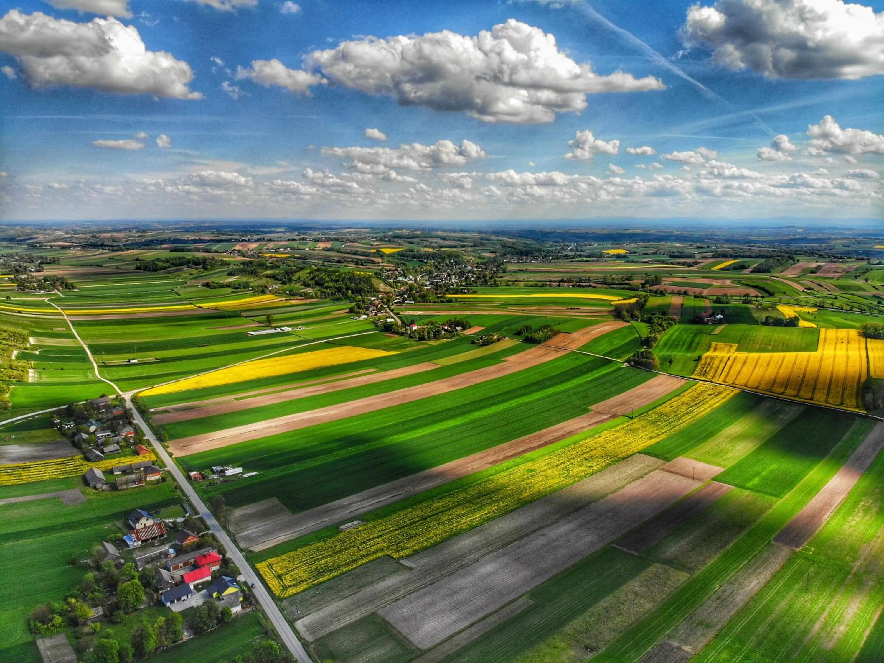 Neighbourhood in Dosłońce Resort Wellness & Farm