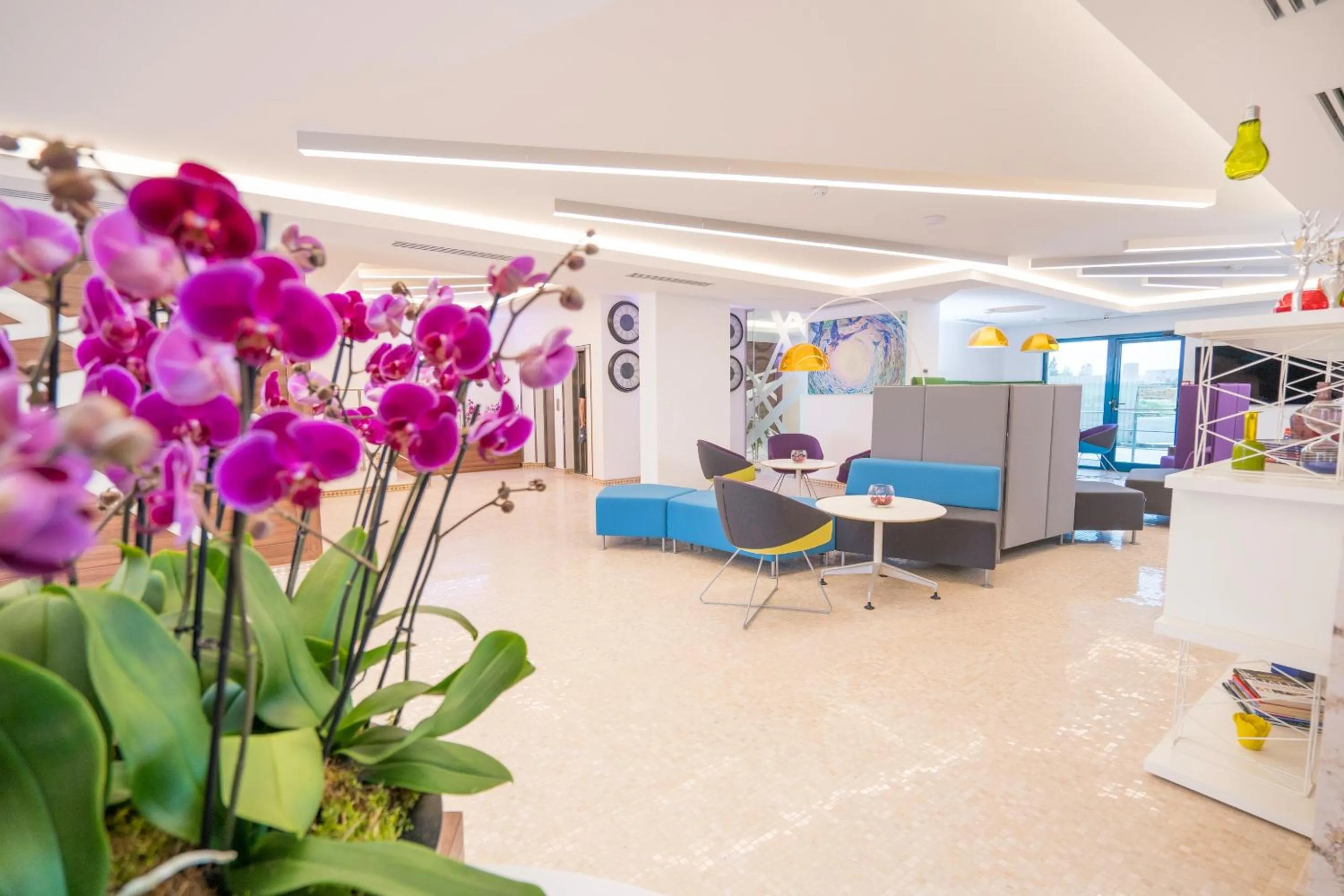 Lobby or reception in Studio One Accommodation Suites