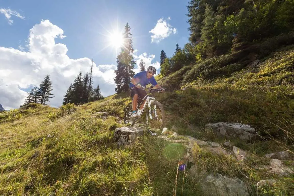 Natural landscape in T3 Gasthof Spullersee