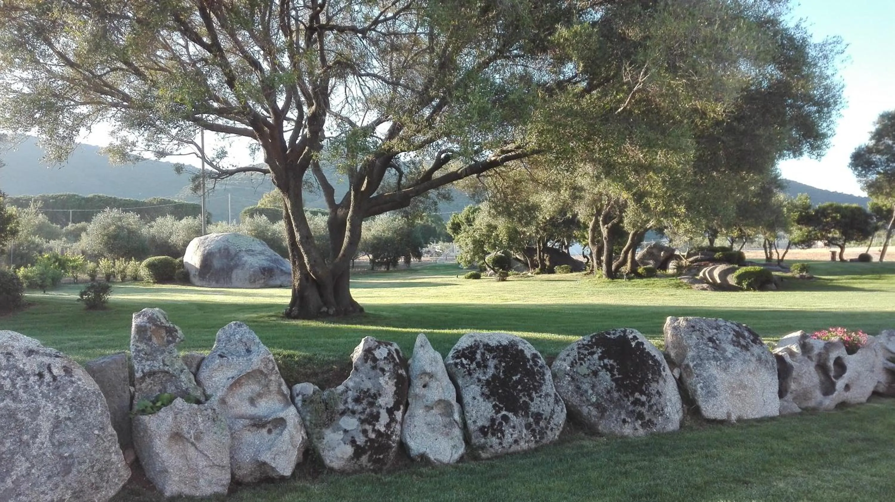 Property building in B&B Majore