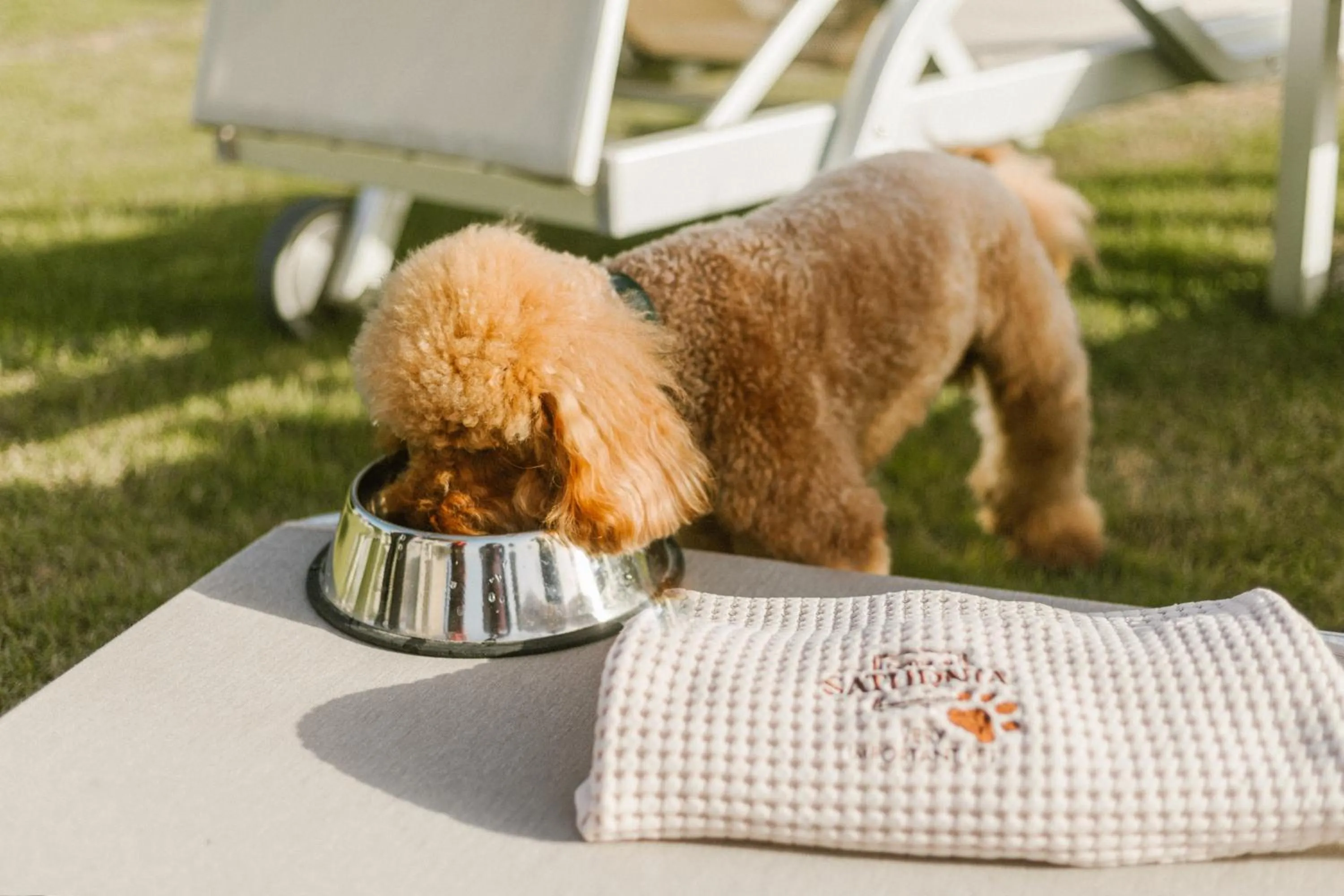 Pets in Terme di Saturnia Natural Spa & Golf Resort - The Leading Hotels of the World