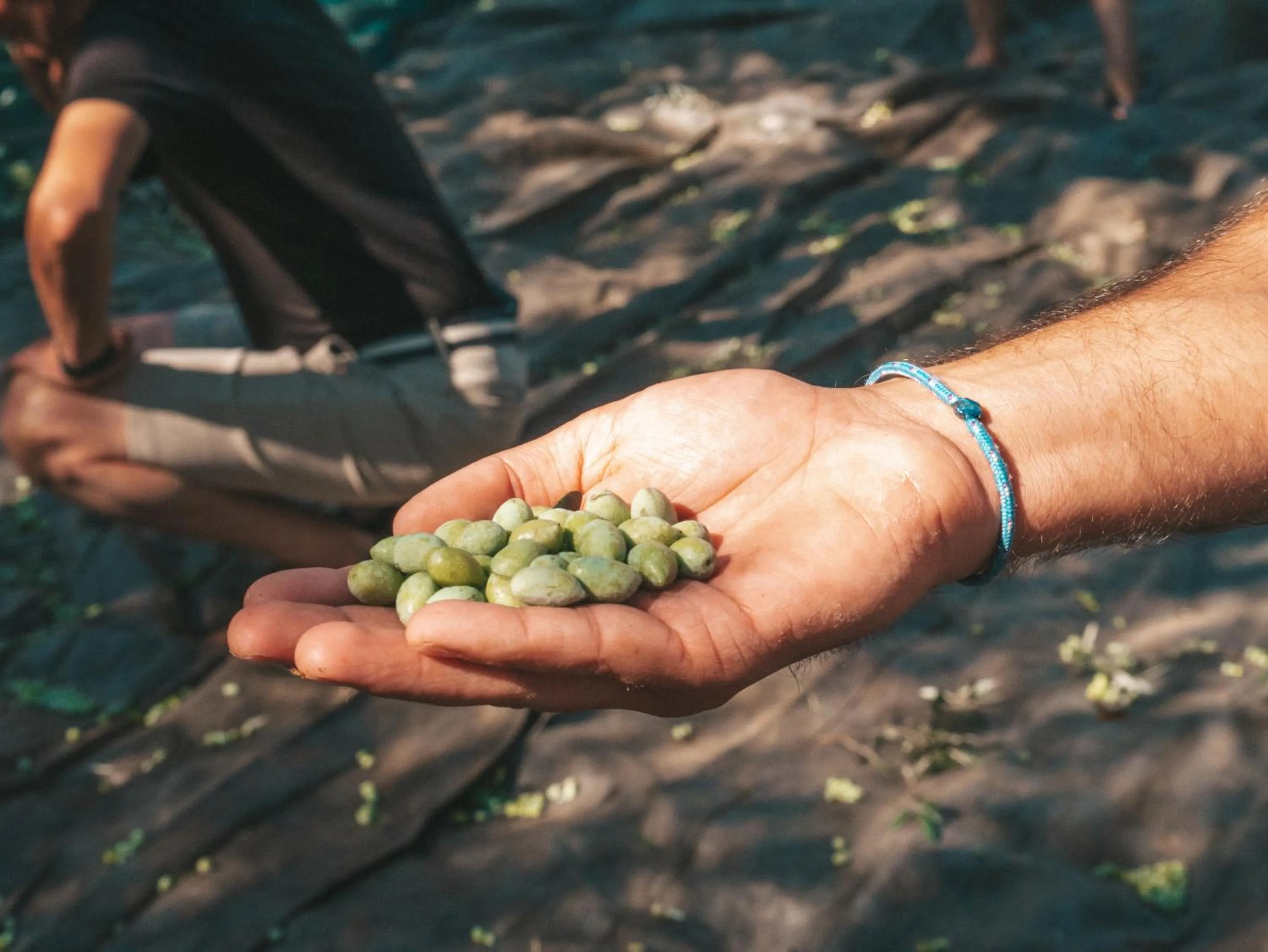 Castelli Hotel-Adults Only