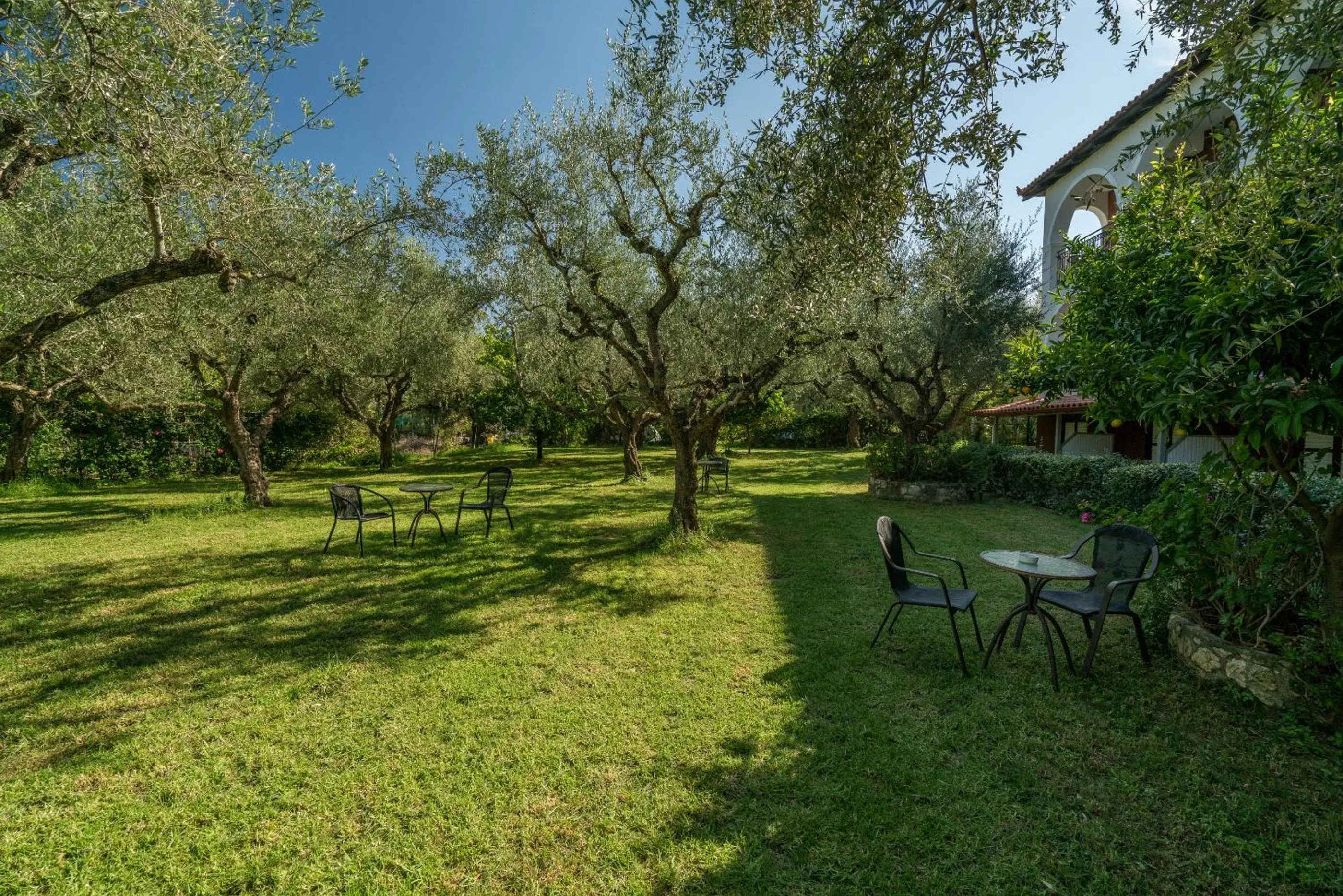 Garden view in Castelli Hotel-Adults Only Garden view in Castelli Hotel-Adults Only