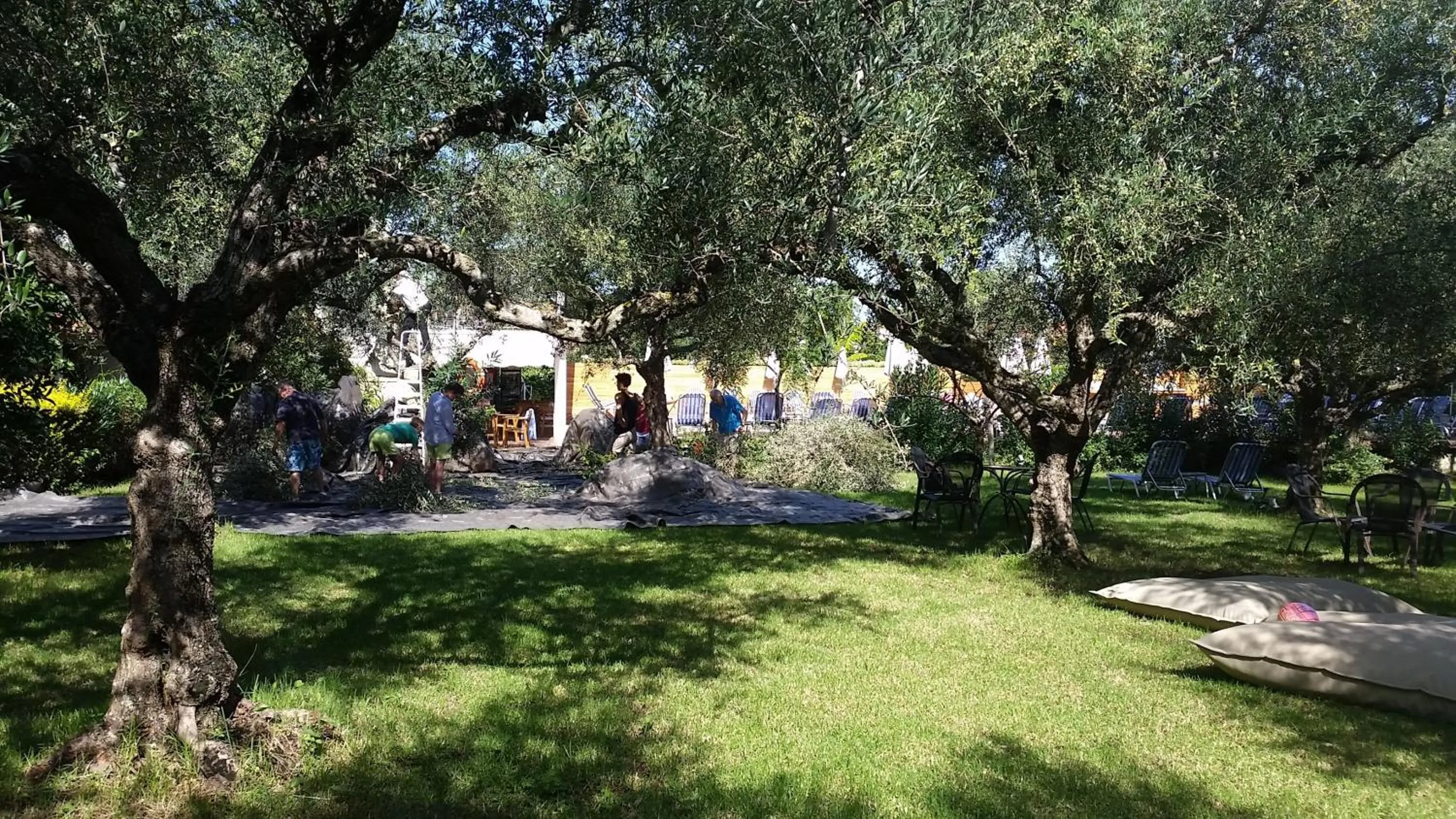 Garden in Castelli Hotel-Adults Only