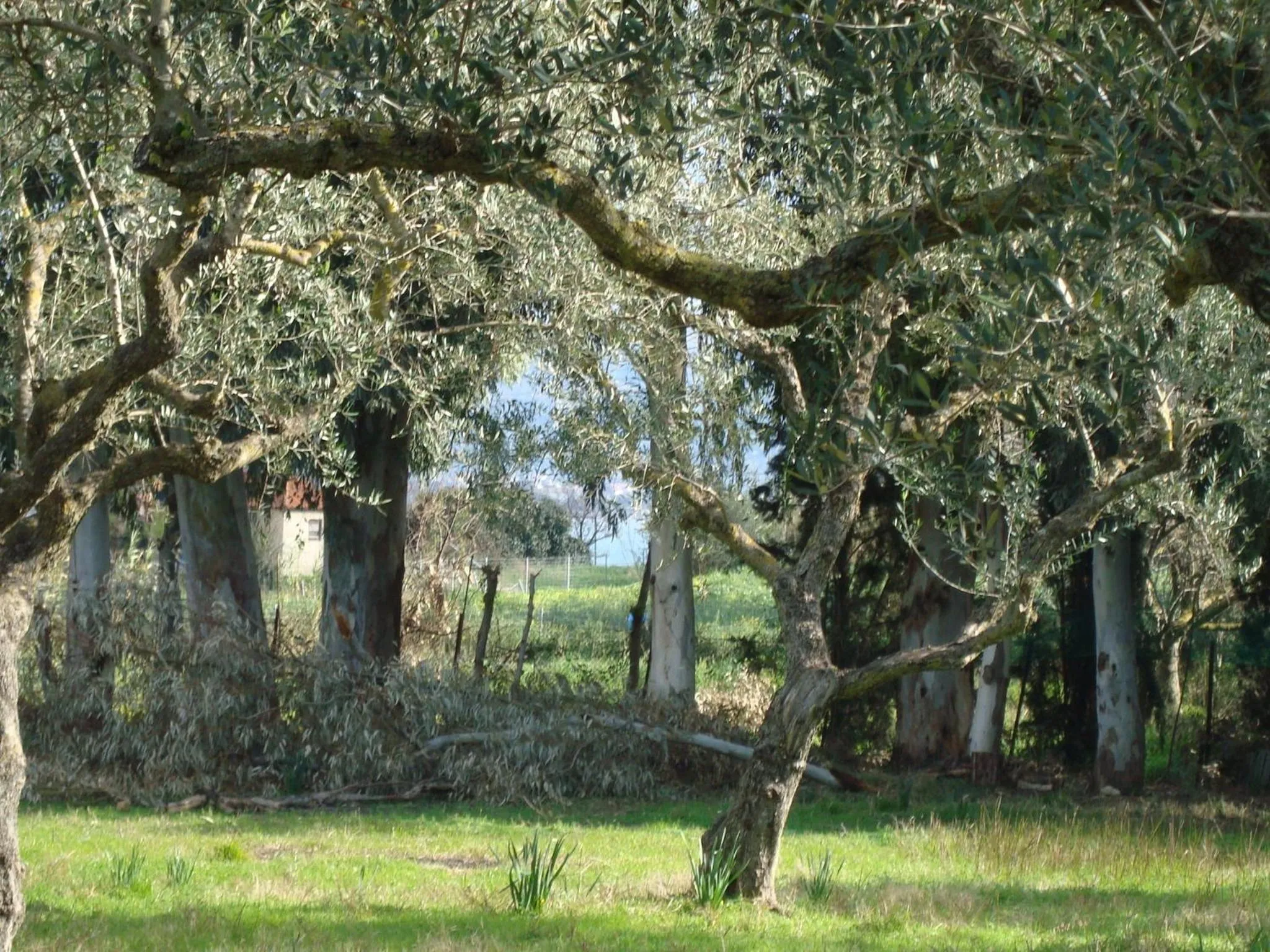 Other in Castelli Hotel-Adults Only