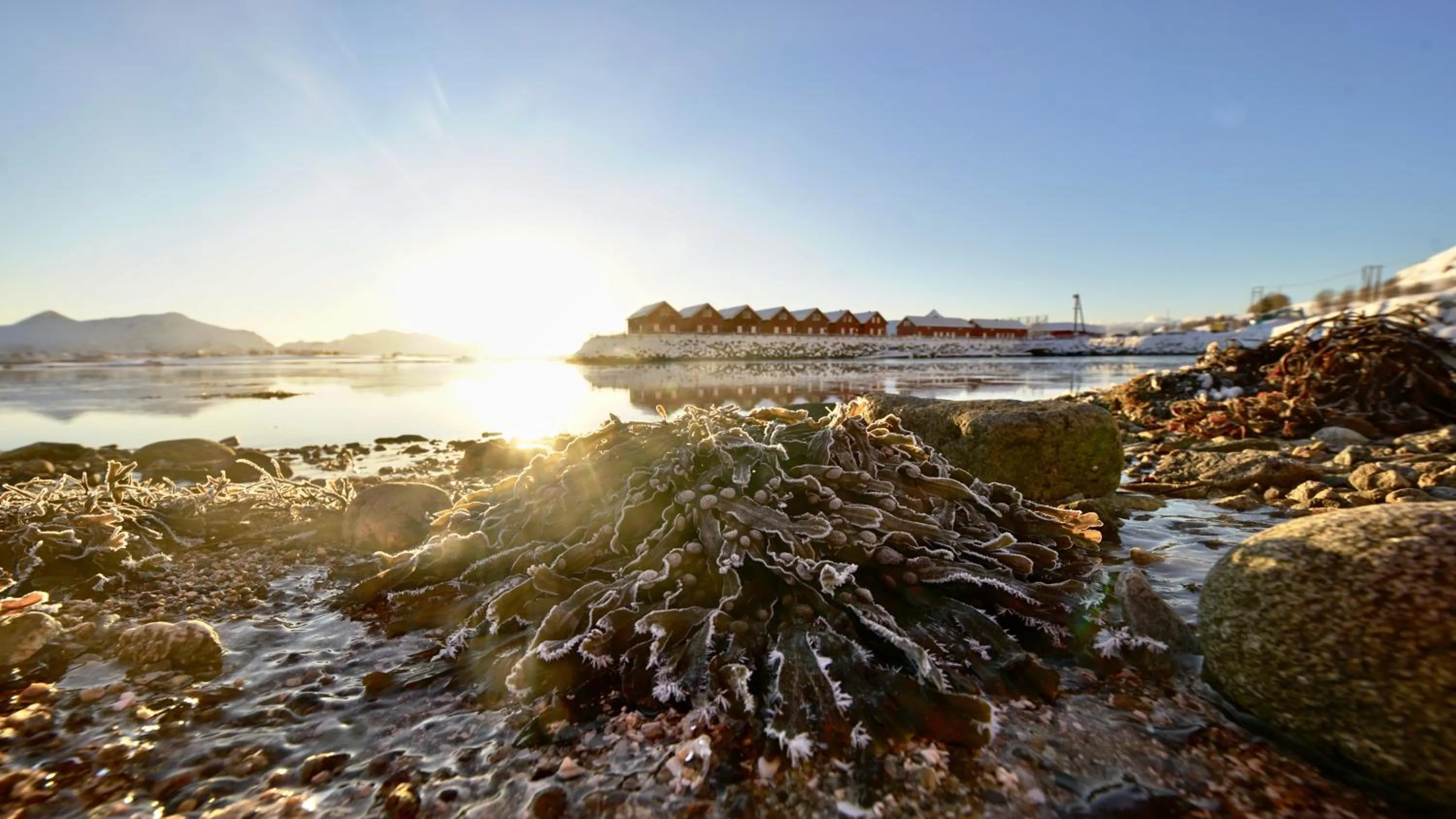 Property building in Lofoten Basecamp