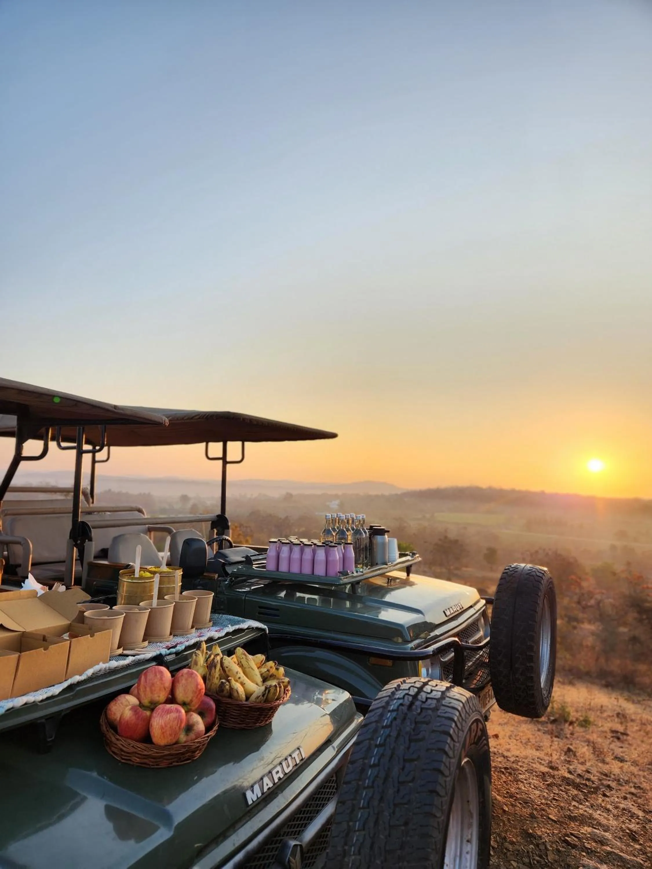 Sunset in Woods at Sasan