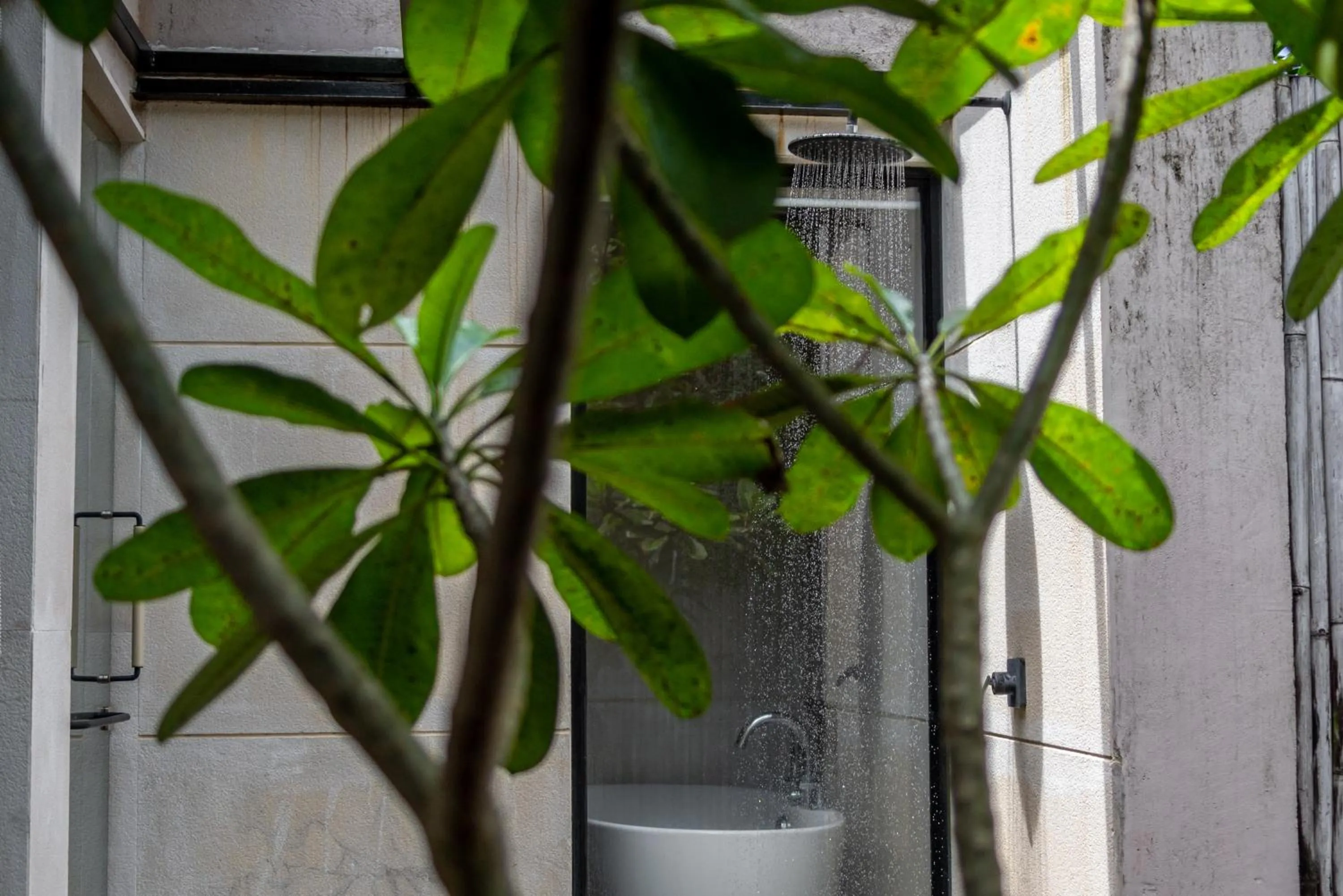 Shower in Woods at Sasan