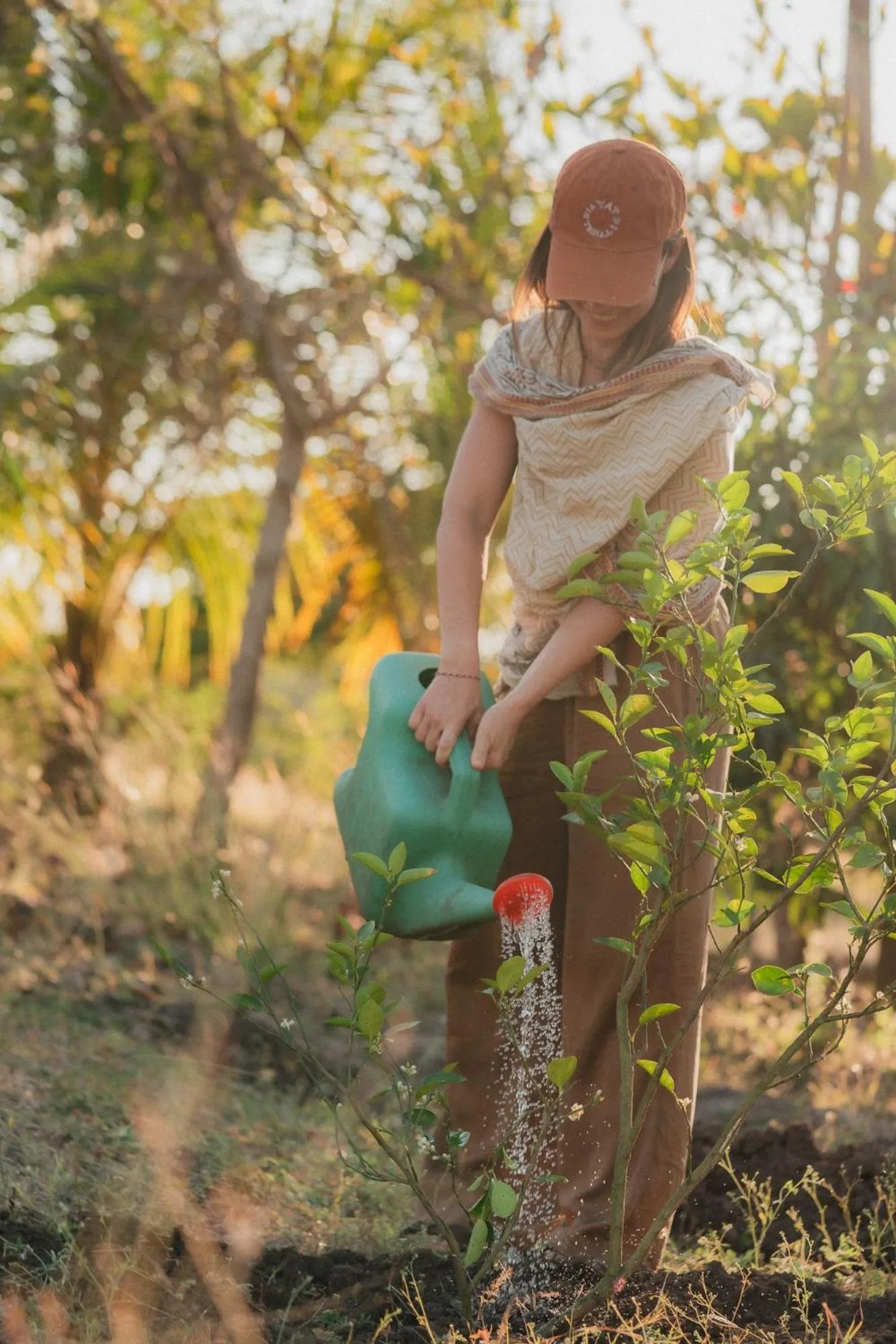 Garden view in Woods at Sasan