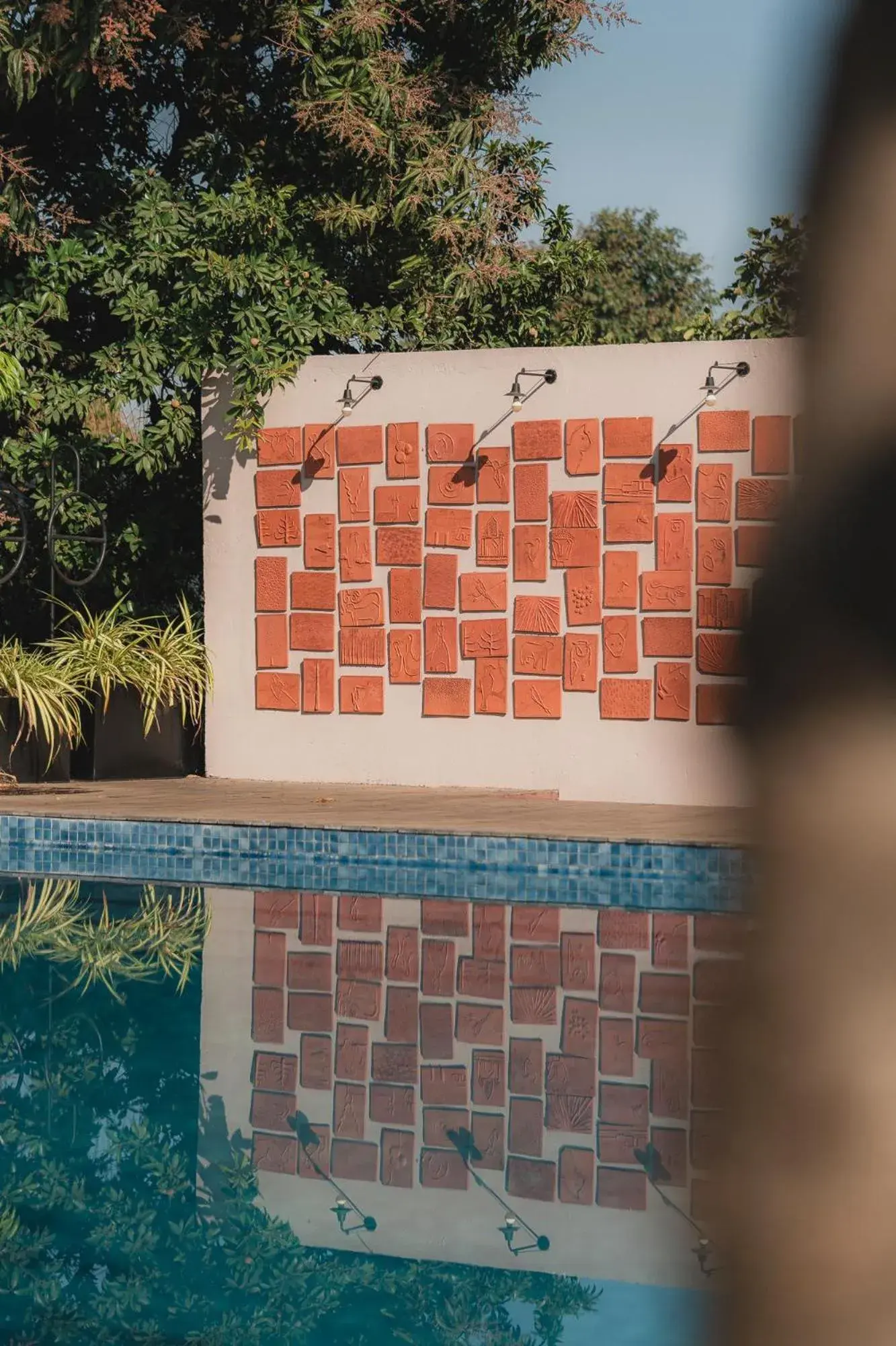 Swimming pool in Woods at Sasan Swimming pool in Woods at Sasan