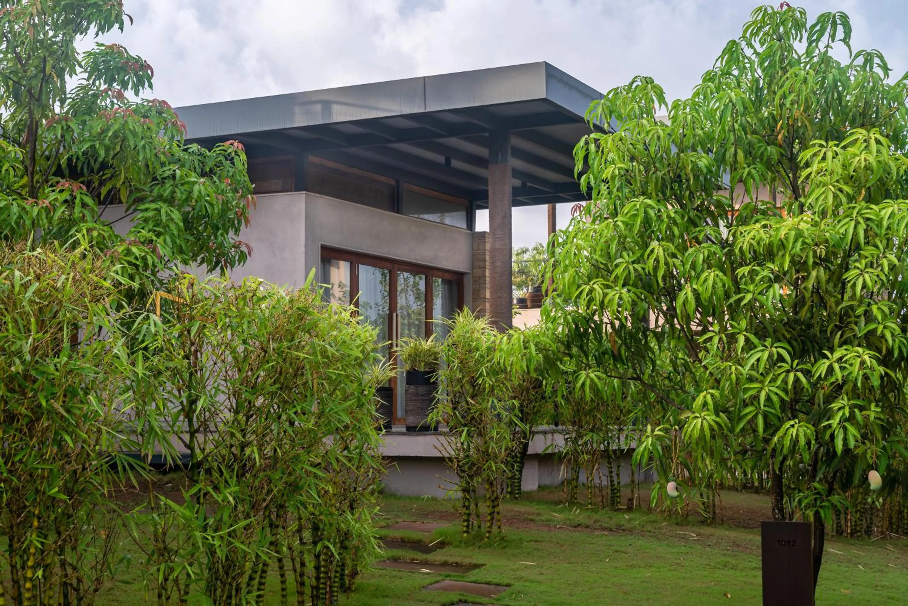 Natural landscape in Woods at Sasan