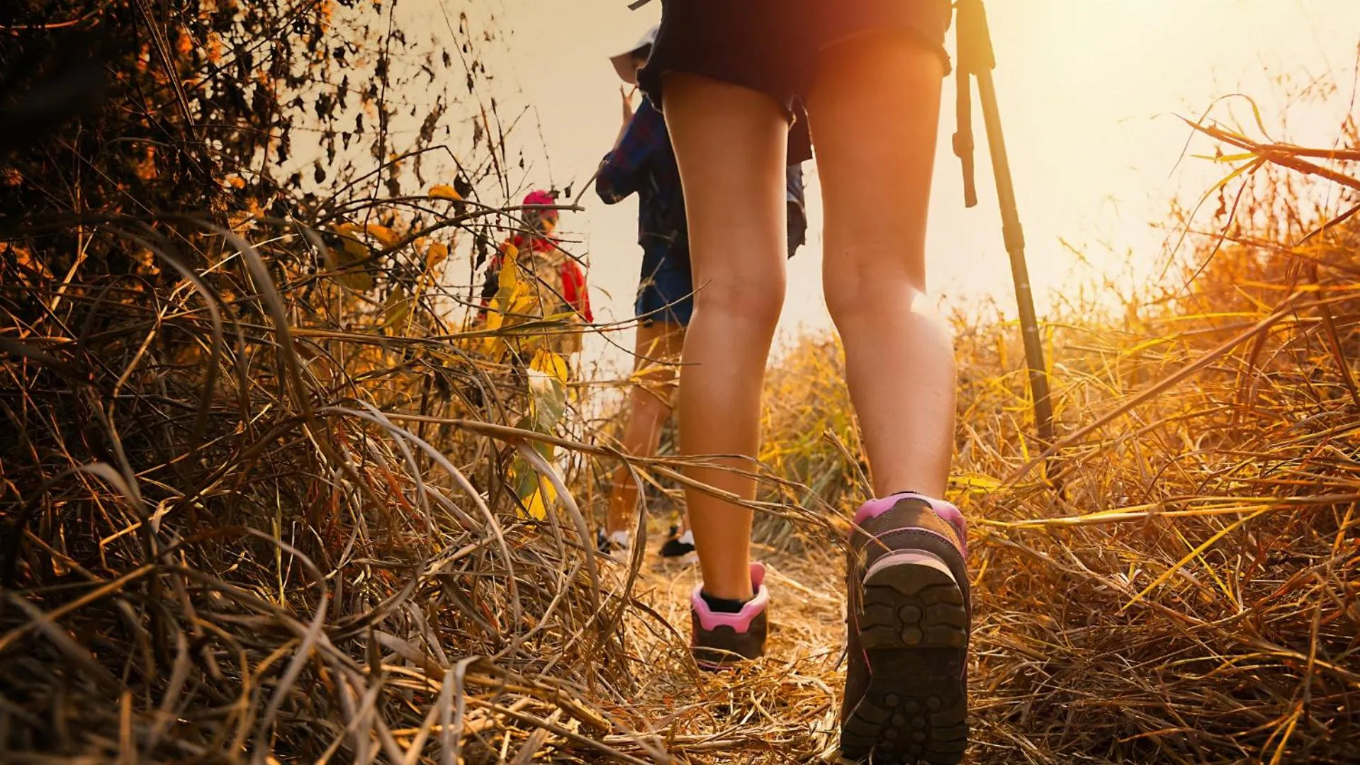 Activities in Parkhotel Nümbrecht