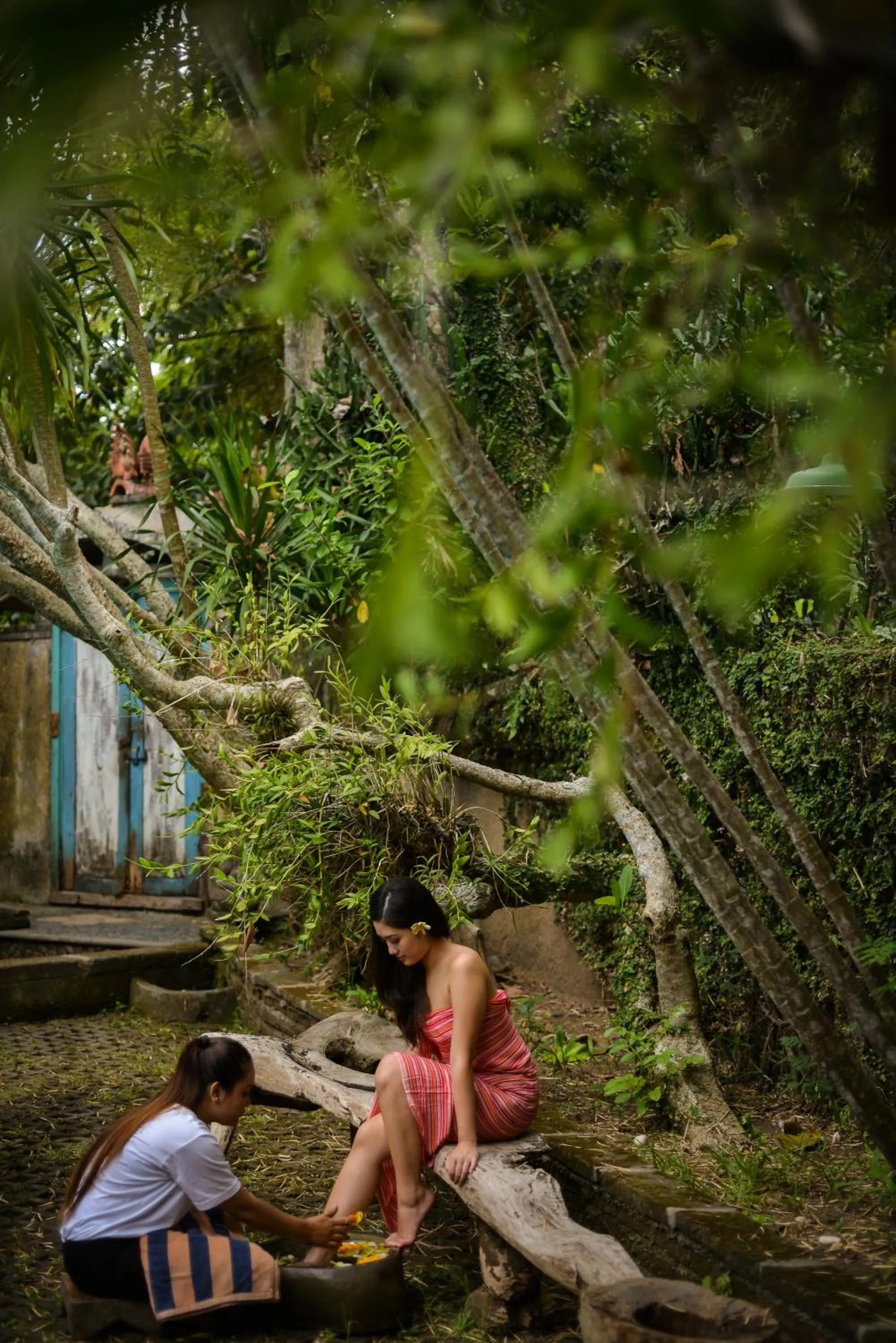 Summer in Taman Nauli Boutique Rooms