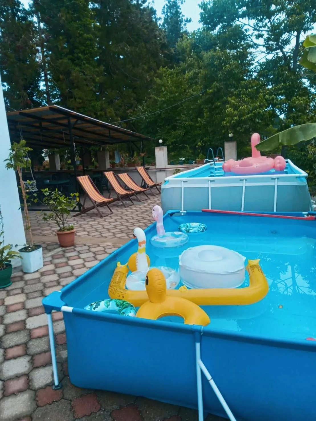 Hotel Lotus