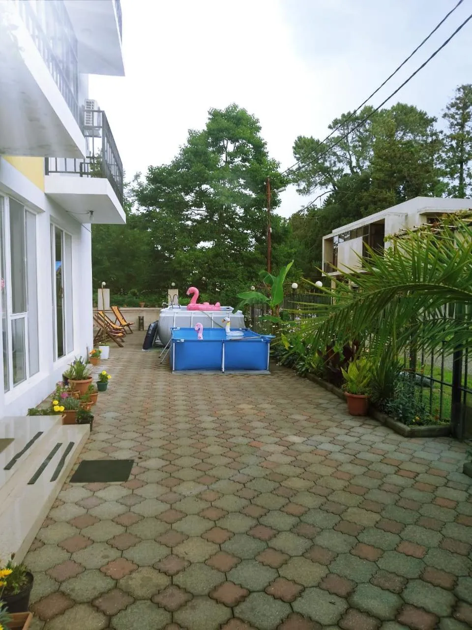 Hotel Lotus