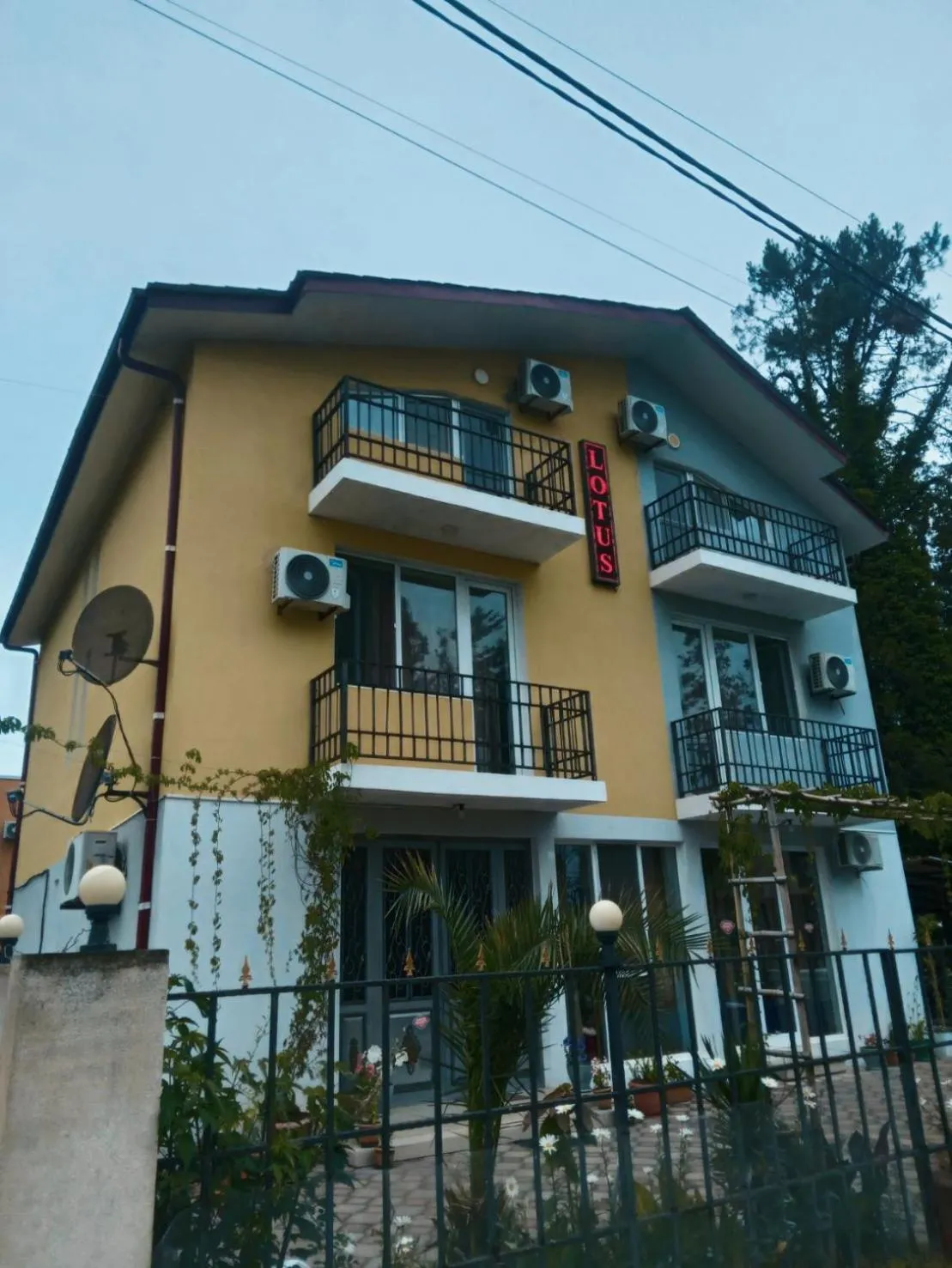 Hotel Lotus
