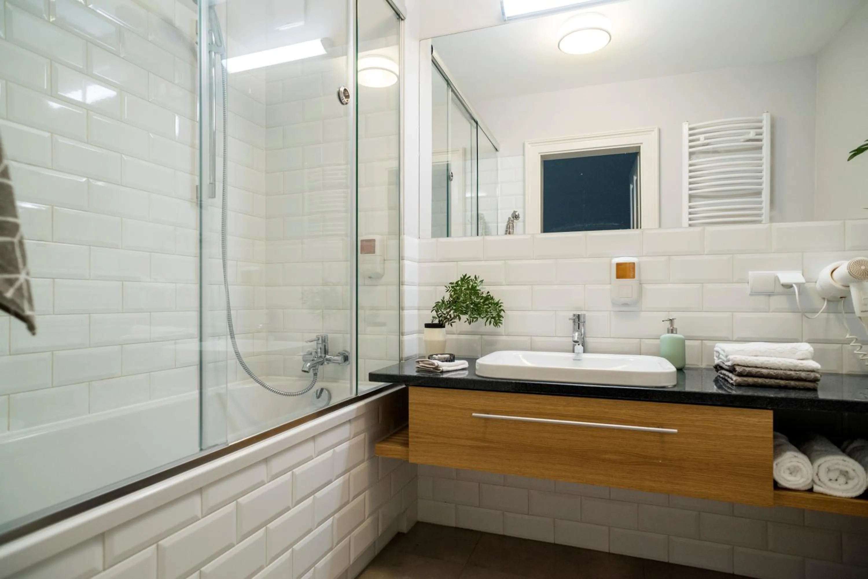 Shower in Belle Epoque Residence