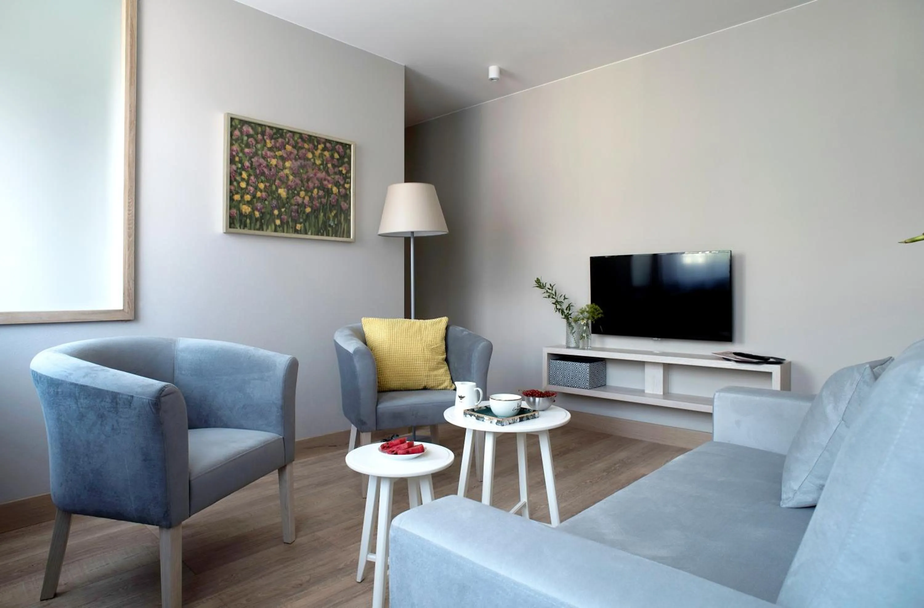 TV and multimedia in Belle Epoque Residence