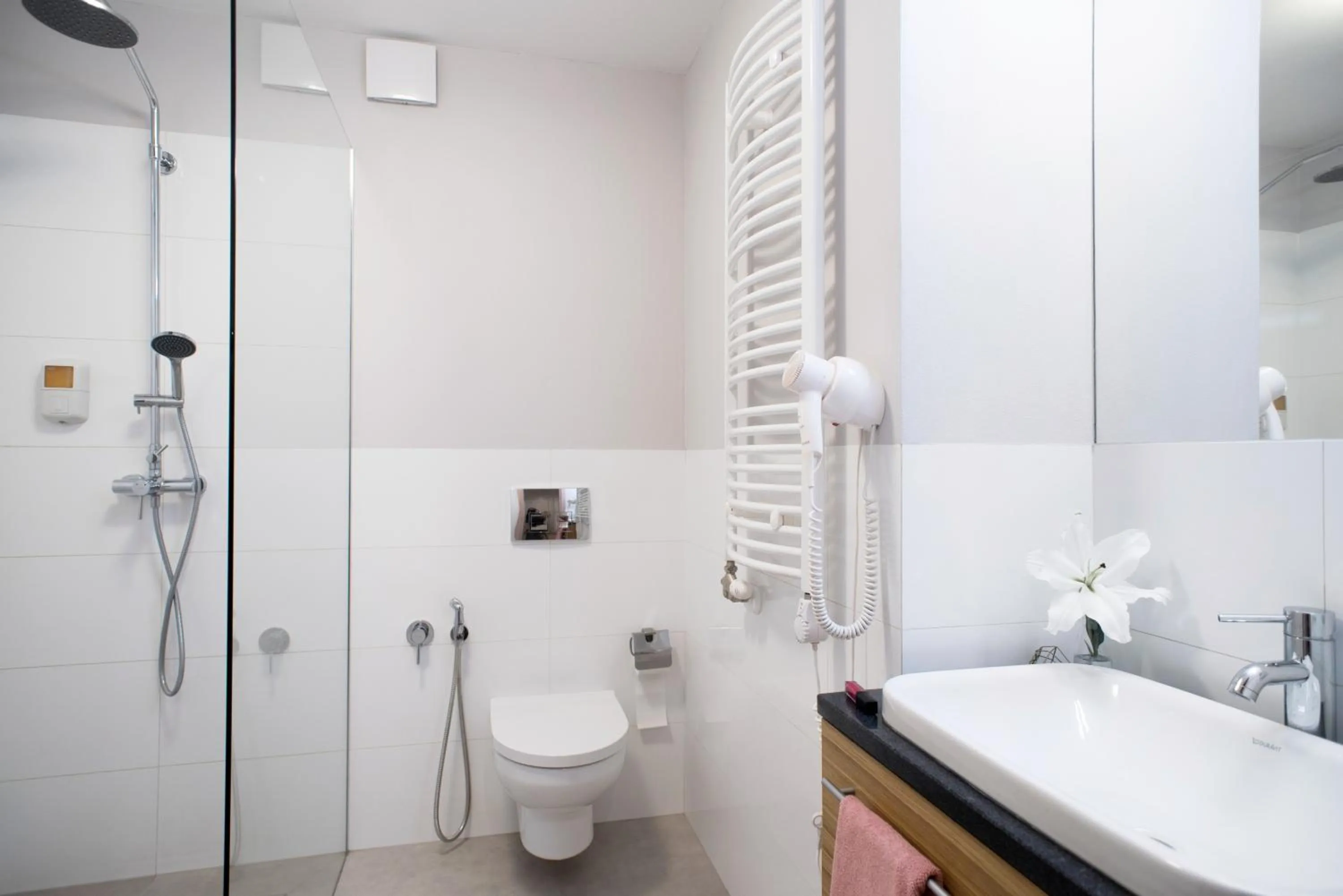 Shower in Belle Epoque Residence