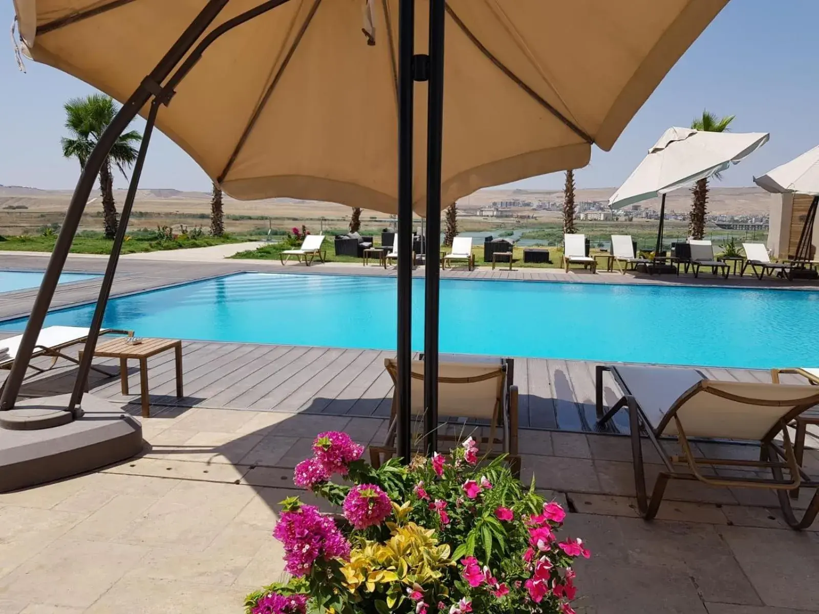 Swimming pool in Dedeman Cizre Hotel Swimming pool in Dedeman Cizre Hotel