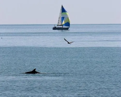 Sea view in B&B Attico Mare