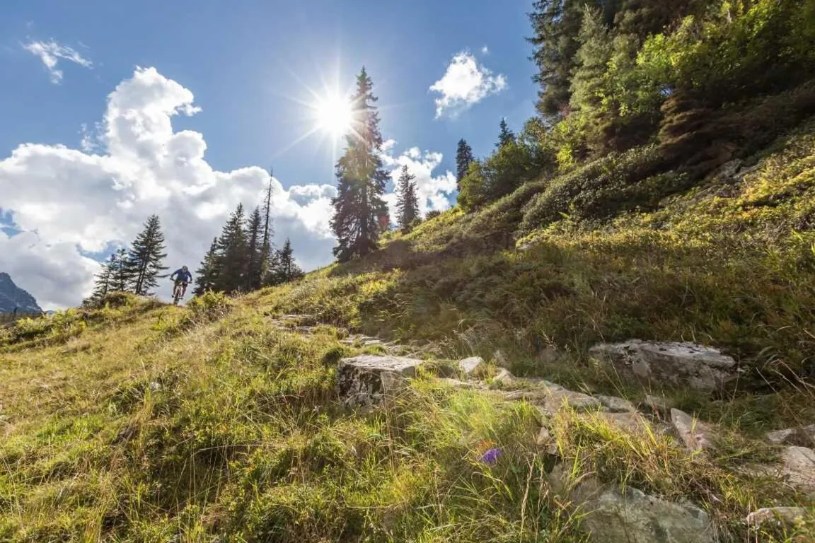 Hiking in T3 Alpenhotel Garfrescha