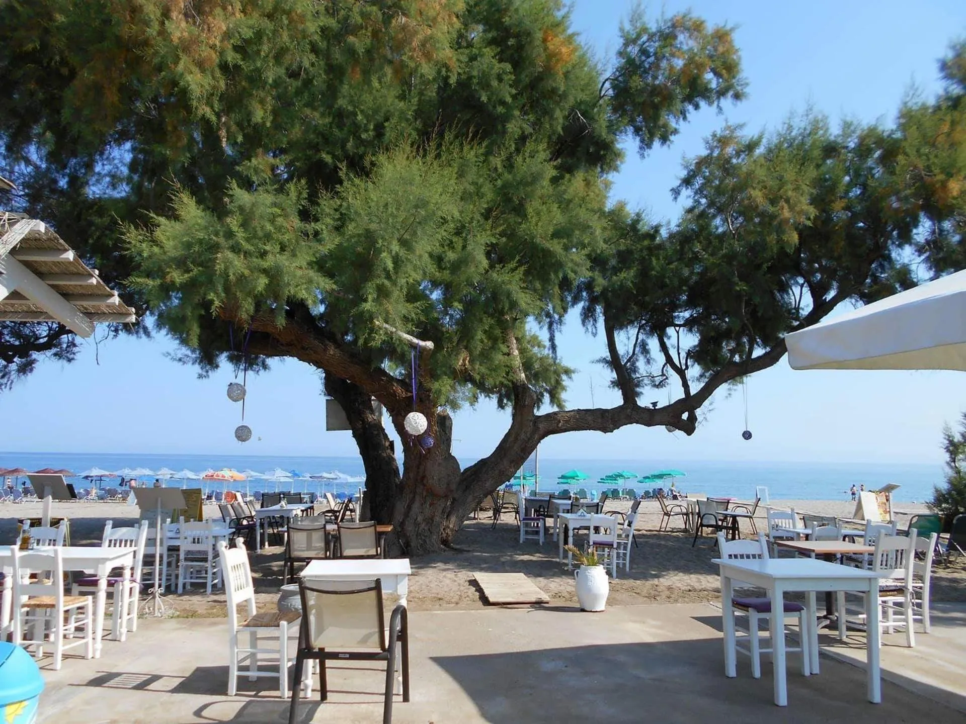 Restaurant/places to eat in Gold Apartments