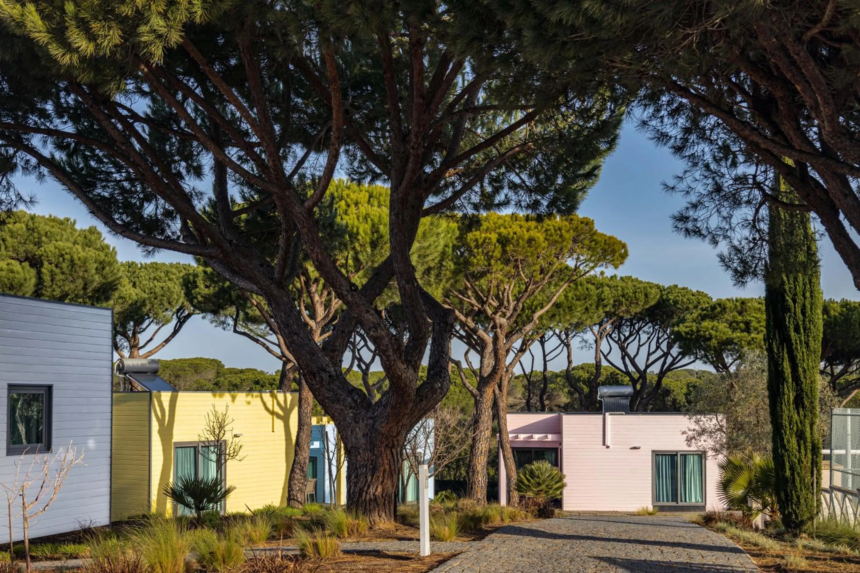 Garden in The Magnolia Hotel