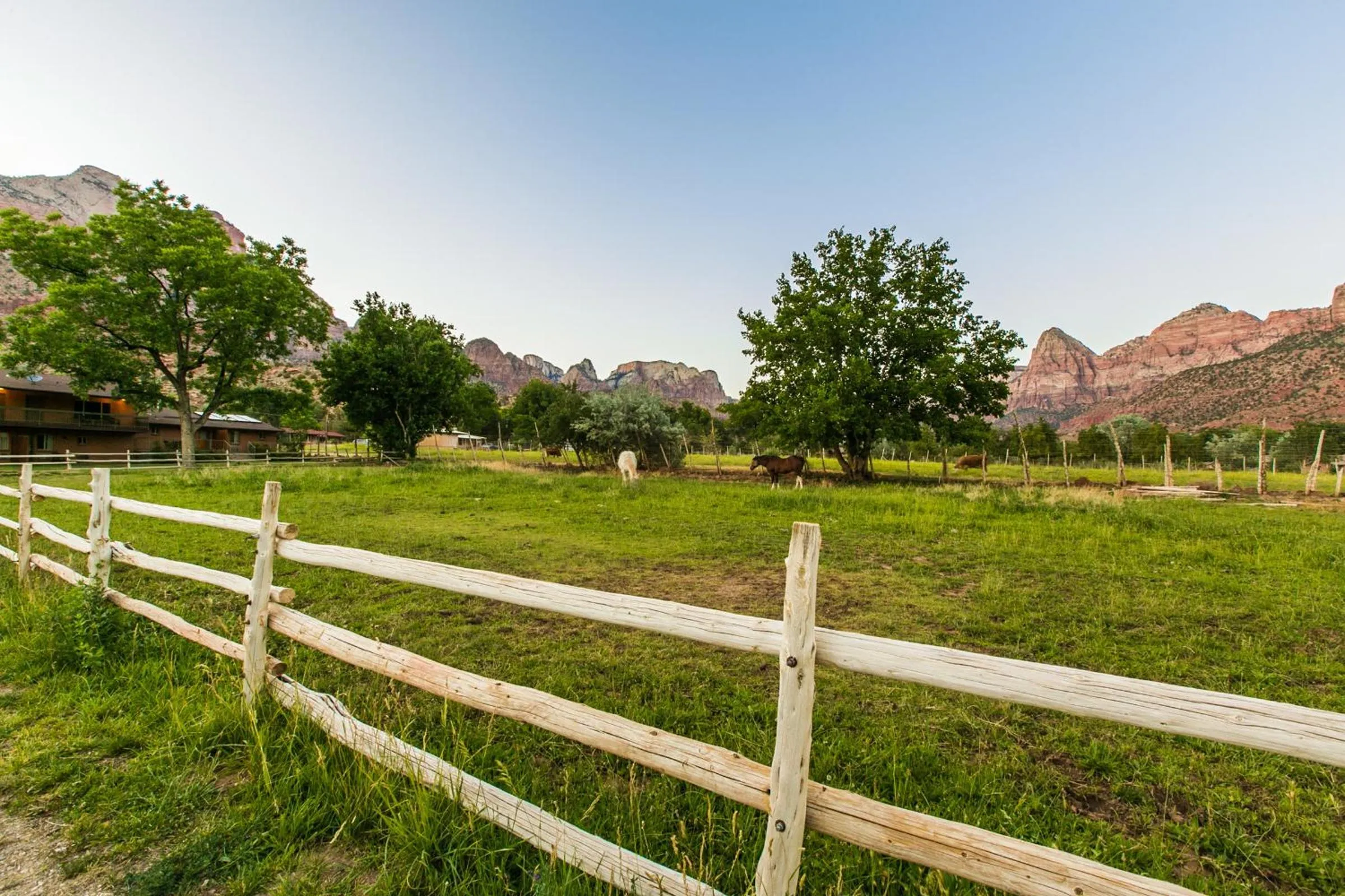 View (from property/room) in Driftwood Lodge